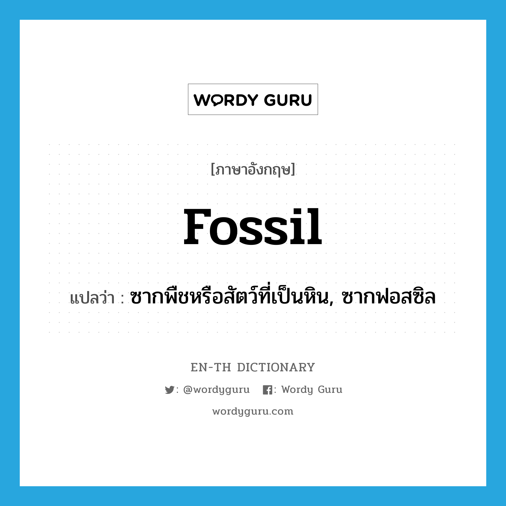 fossil แปลว่า?, คำศัพท์ภาษาอังกฤษ fossil แปลว่า ซากพืชหรือสัตว์ที่เป็นหิน, ซากฟอสซิล ประเภท N หมวด N