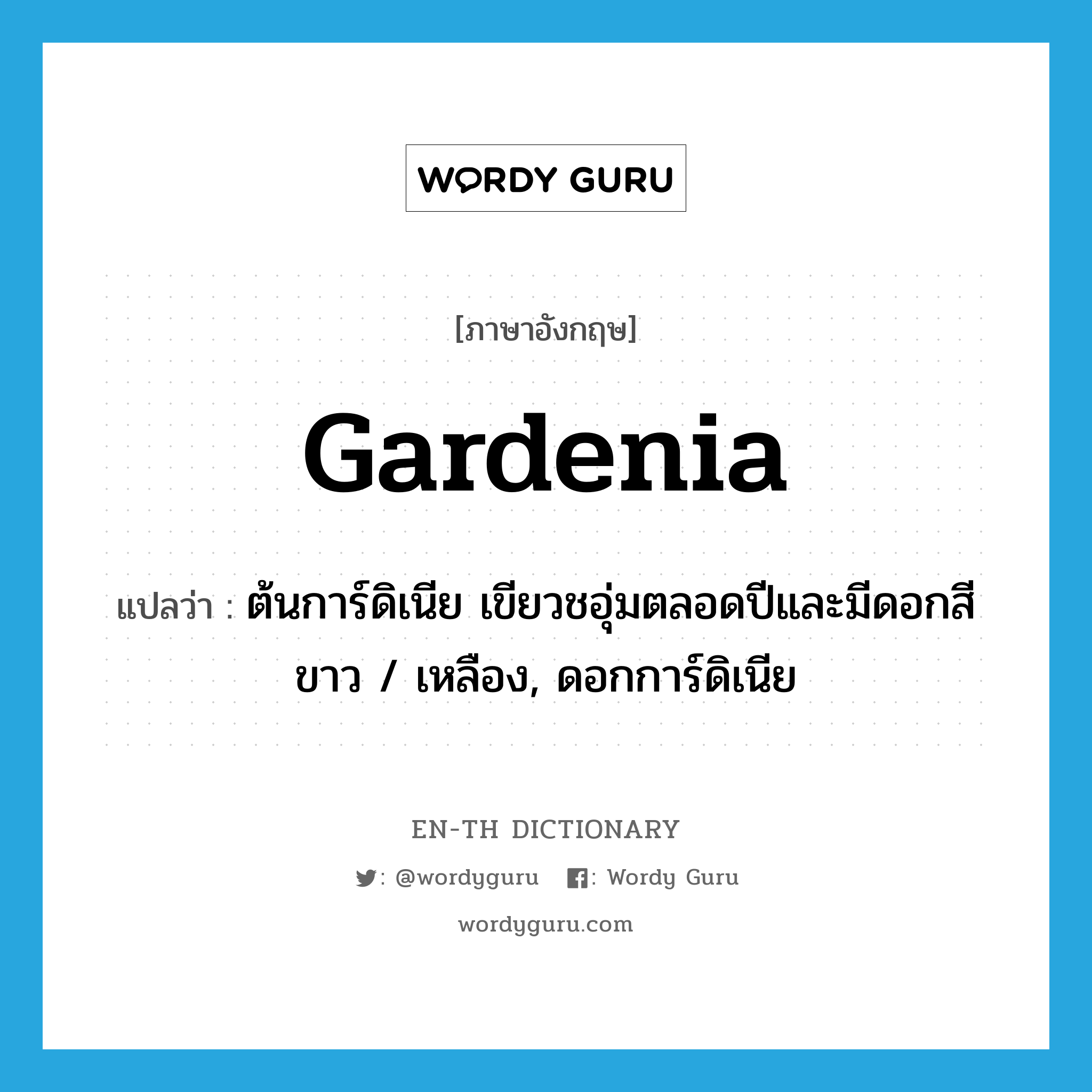gardenia แปลว่า?, คำศัพท์ภาษาอังกฤษ gardenia แปลว่า ต้นการ์ดิเนีย เขียวชอุ่มตลอดปีและมีดอกสีขาว / เหลือง, ดอกการ์ดิเนีย ประเภท N หมวด N