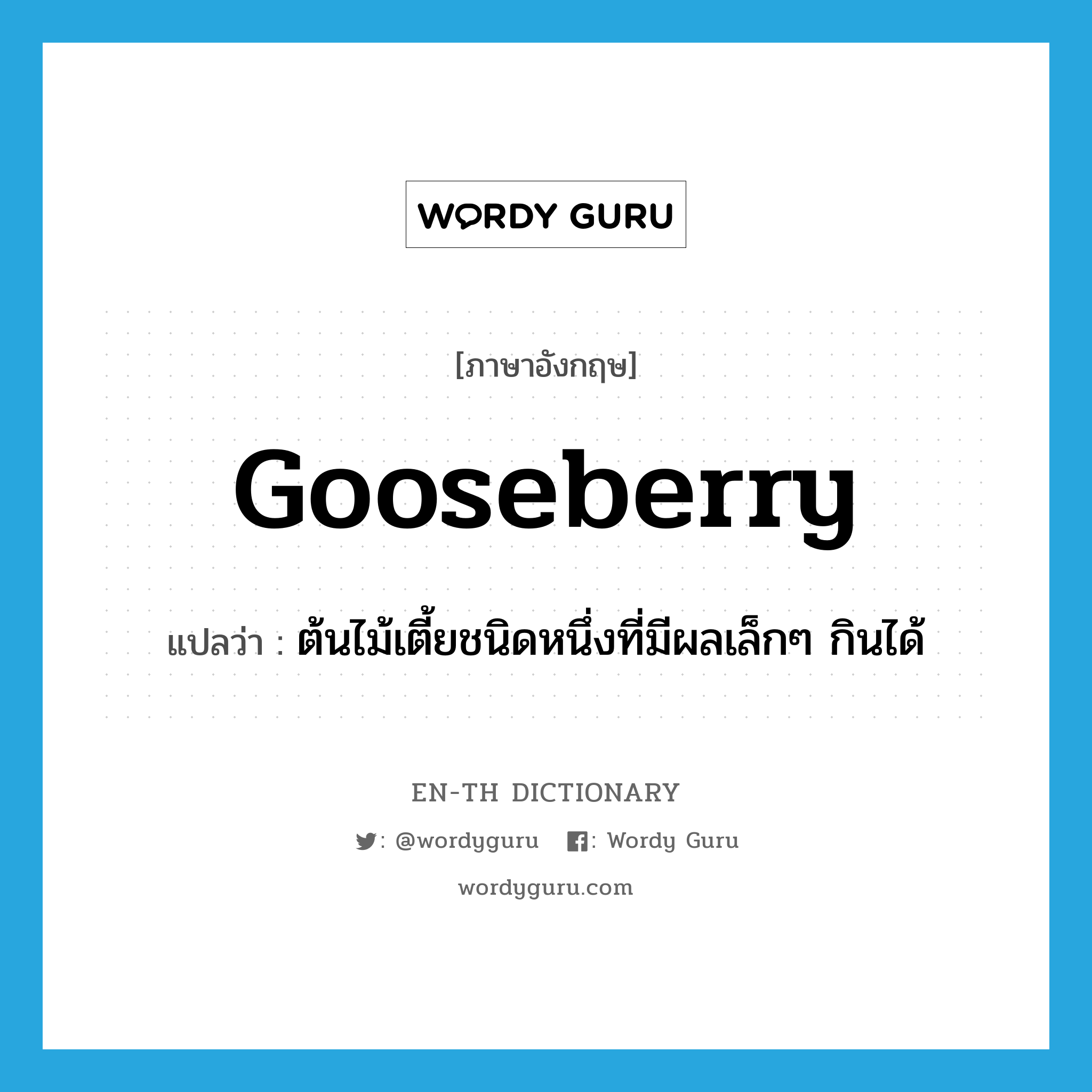 gooseberry แปลว่า?, คำศัพท์ภาษาอังกฤษ gooseberry แปลว่า ต้นไม้เตี้ยชนิดหนึ่งที่มีผลเล็กๆ กินได้ ประเภท N หมวด N
