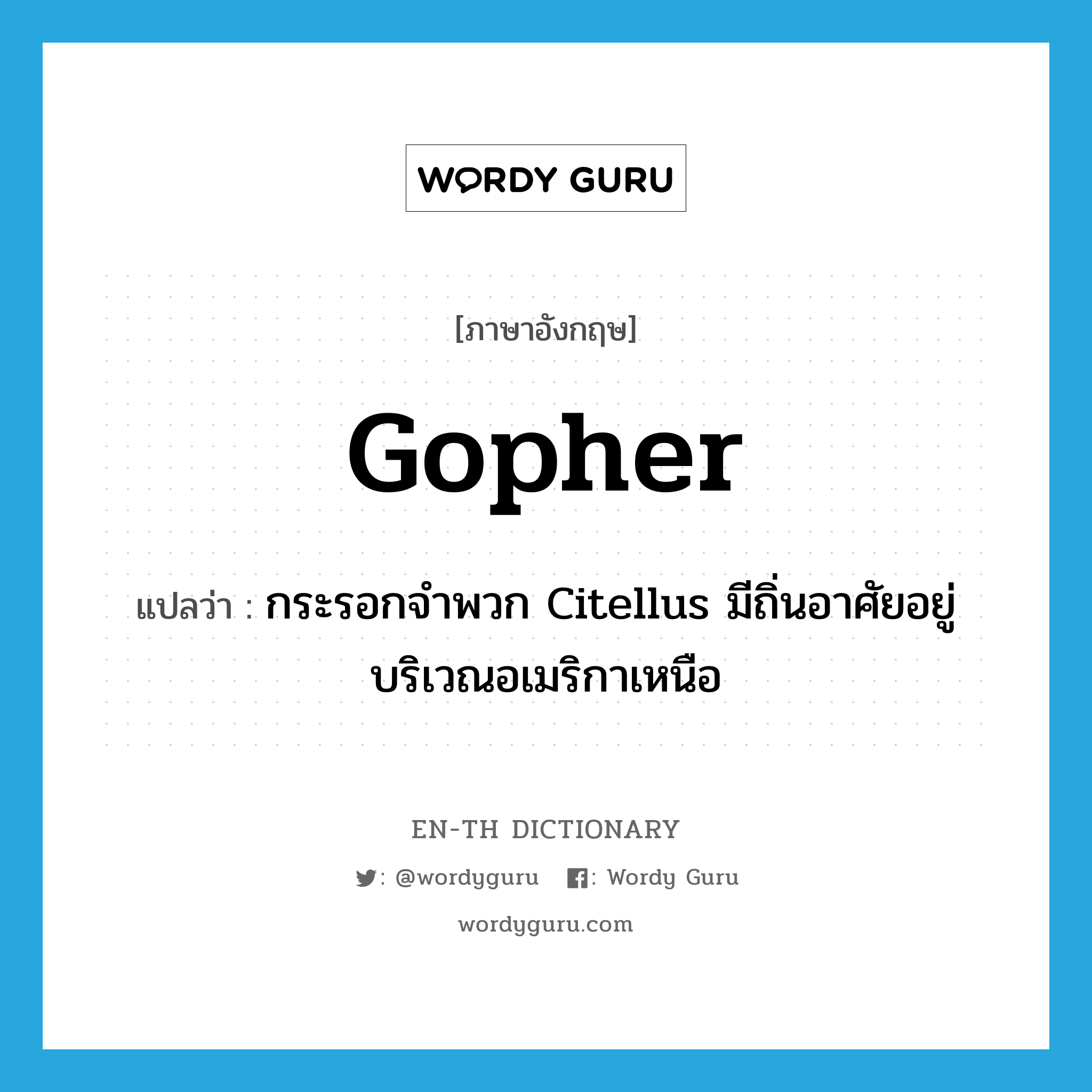 Gopher แปลว่า?, คำศัพท์ภาษาอังกฤษ gopher แปลว่า กระรอกจำพวก Citellus มีถิ่นอาศัยอยู่บริเวณอเมริกาเหนือ ประเภท N หมวด N