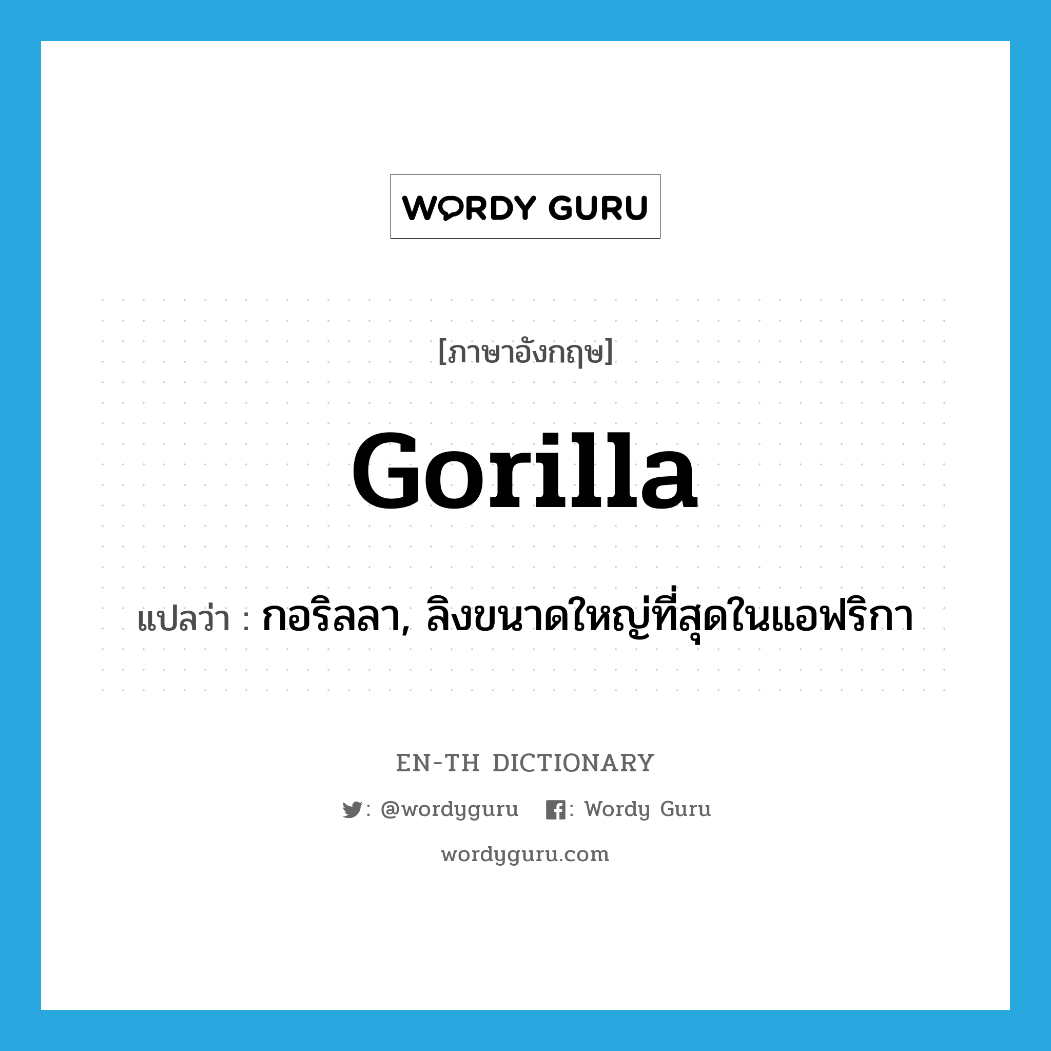 gorilla แปลว่า?, คำศัพท์ภาษาอังกฤษ gorilla แปลว่า กอริลลา, ลิงขนาดใหญ่ที่สุดในแอฟริกา ประเภท N หมวด N