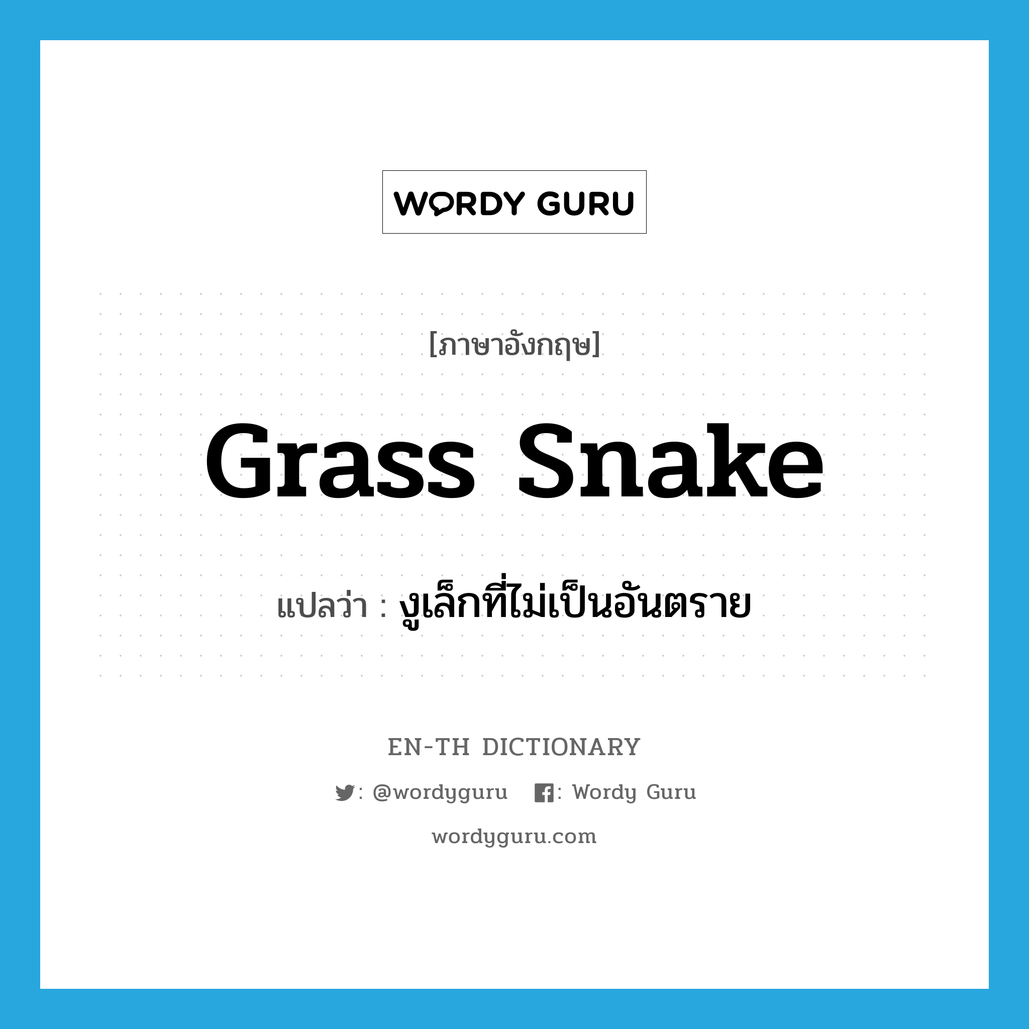 grass snake แปลว่า?, คำศัพท์ภาษาอังกฤษ grass snake แปลว่า งูเล็กที่ไม่เป็นอันตราย ประเภท N หมวด N
