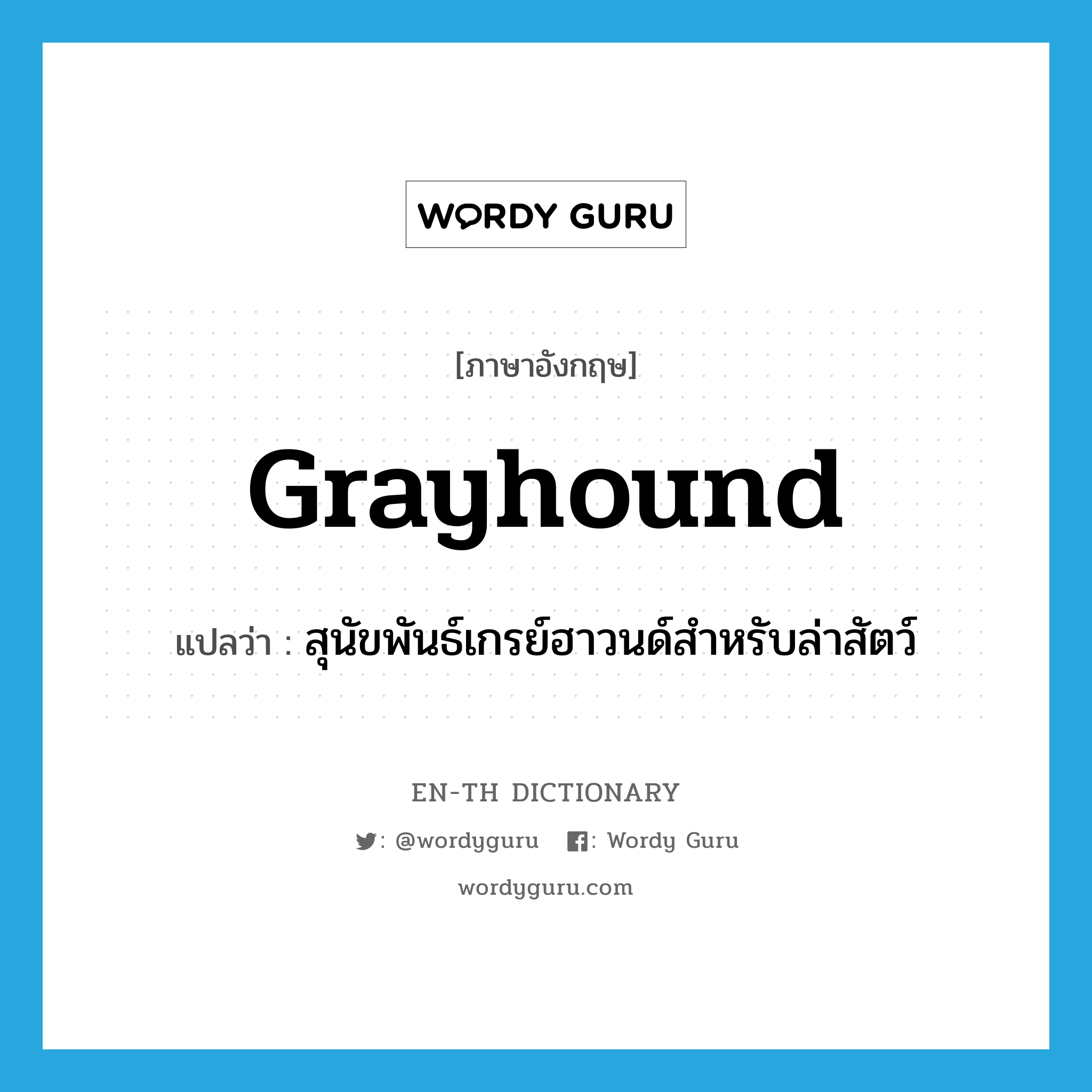 grayhound แปลว่า?, คำศัพท์ภาษาอังกฤษ grayhound แปลว่า สุนัขพันธ์เกรย์ฮาวนด์สำหรับล่าสัตว์ ประเภท N หมวด N