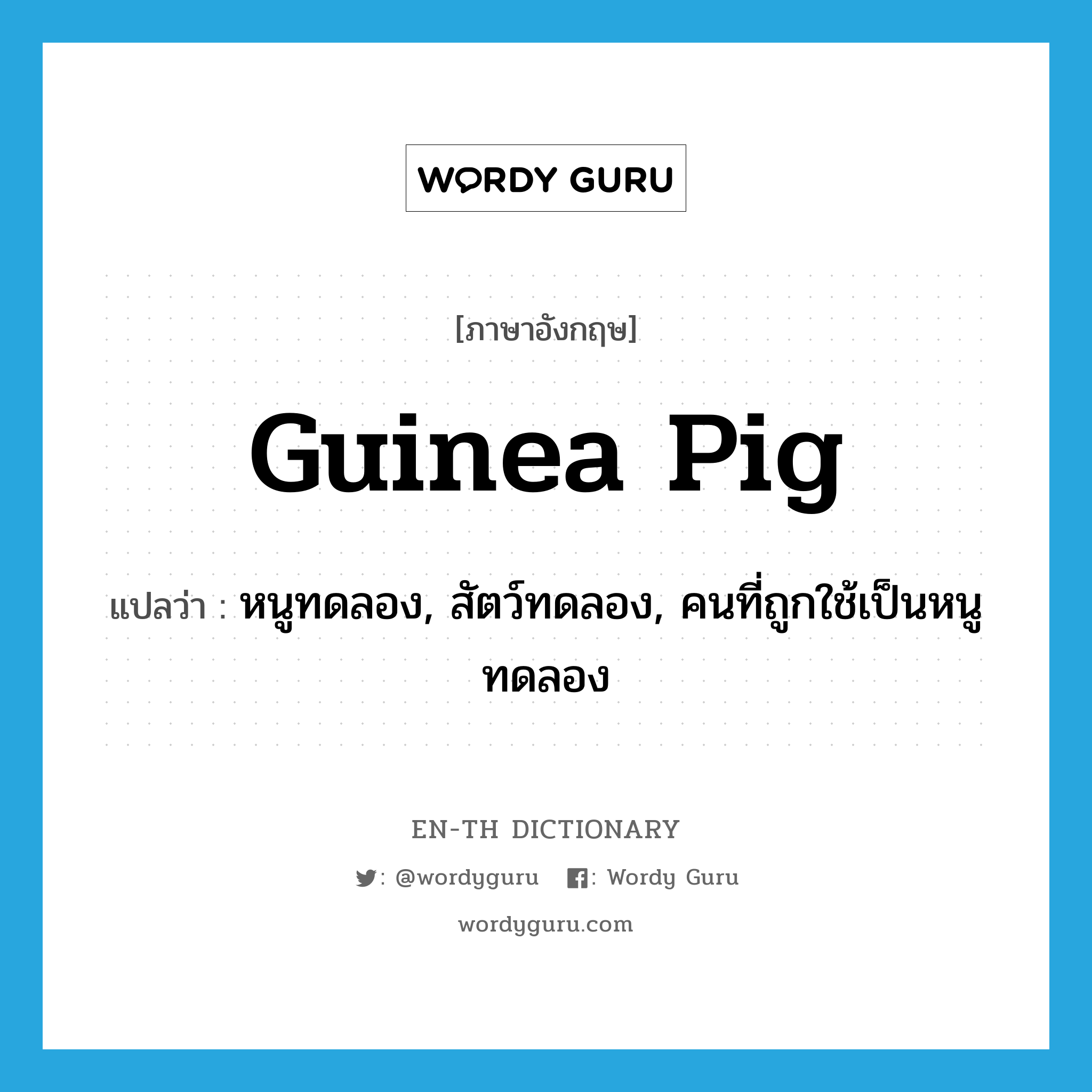guinea pig แปลว่า?, คำศัพท์ภาษาอังกฤษ guinea pig แปลว่า หนูทดลอง, สัตว์ทดลอง, คนที่ถูกใช้เป็นหนูทดลอง ประเภท N หมวด N