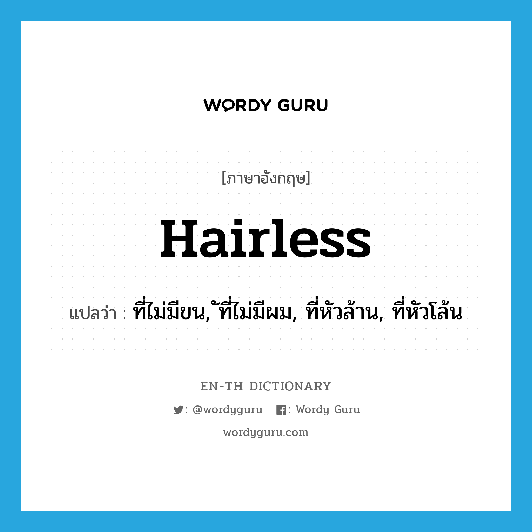 hairless แปลว่า?, คำศัพท์ภาษาอังกฤษ hairless แปลว่า ที่ไม่มีขน, ัที่ไม่มีผม, ที่หัวล้าน, ที่หัวโล้น ประเภท ADJ หมวด ADJ