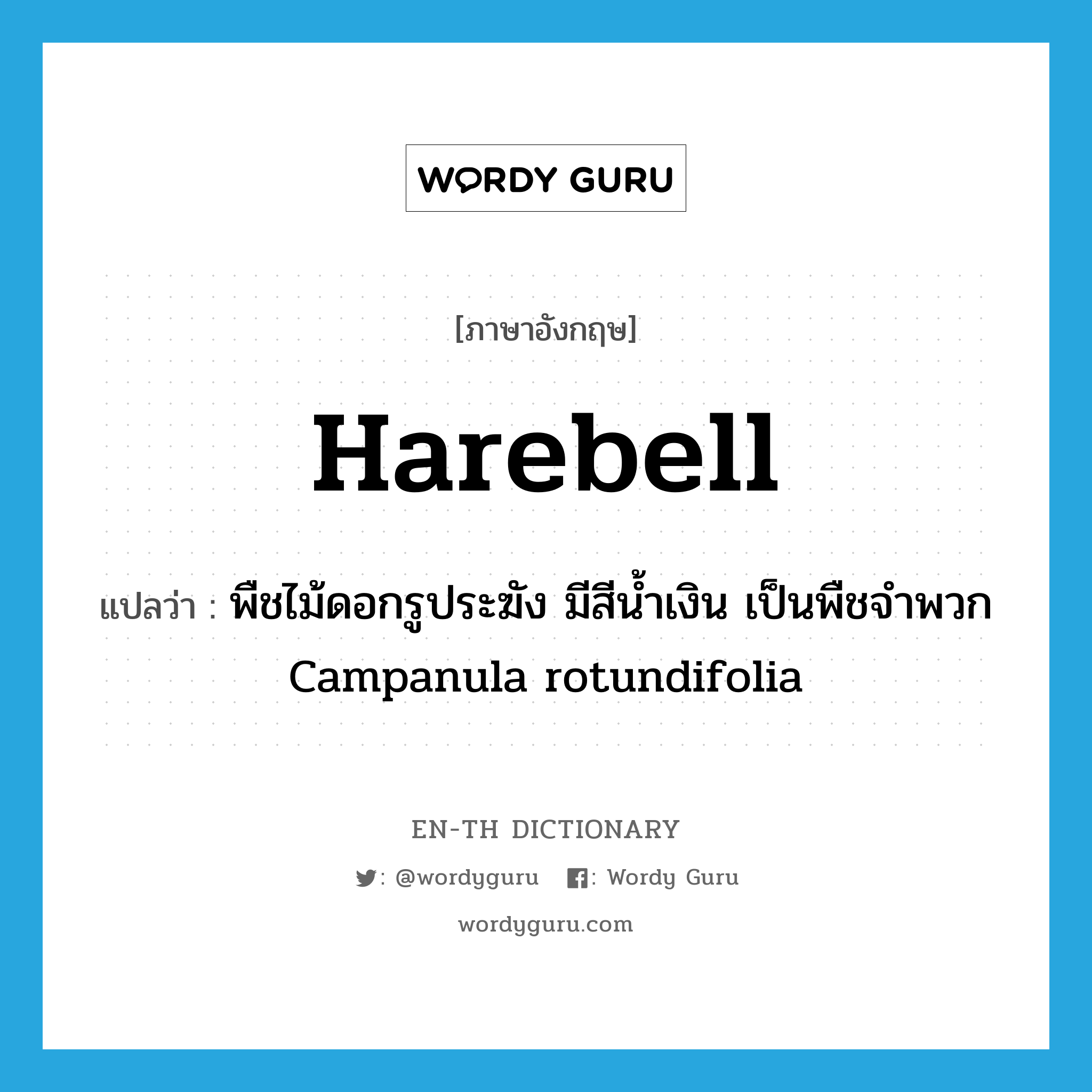 harebell แปลว่า?, คำศัพท์ภาษาอังกฤษ harebell แปลว่า พืชไม้ดอกรูประฆัง มีสีน้ำเงิน เป็นพืชจำพวก Campanula rotundifolia ประเภท N หมวด N