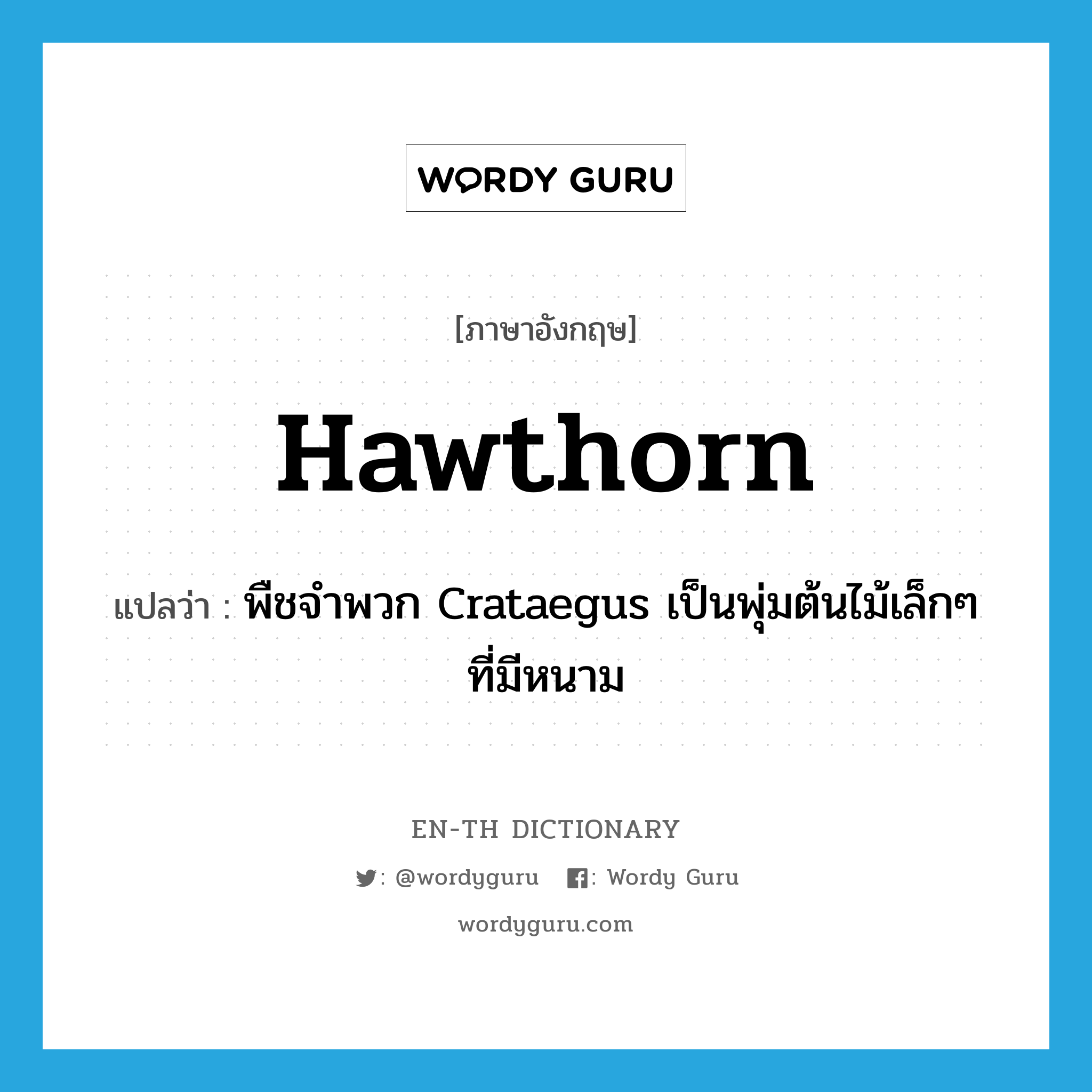 hawthorn แปลว่า?, คำศัพท์ภาษาอังกฤษ hawthorn แปลว่า พืชจำพวก Crataegus เป็นพุ่มต้นไม้เล็กๆ ที่มีหนาม ประเภท N หมวด N