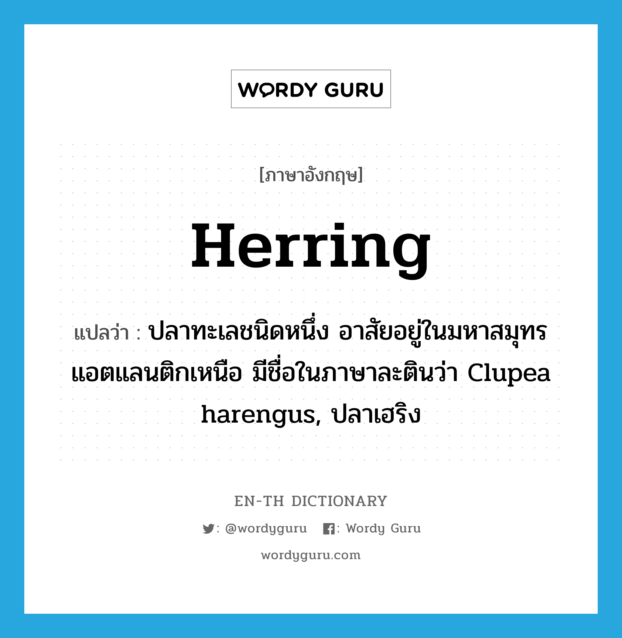 herring แปลว่า?, คำศัพท์ภาษาอังกฤษ herring แปลว่า ปลาทะเลชนิดหนึ่ง อาสัยอยู่ในมหาสมุทรแอตแลนติกเหนือ มีชื่อในภาษาละตินว่า Clupea harengus, ปลาเฮริง ประเภท N หมวด N
