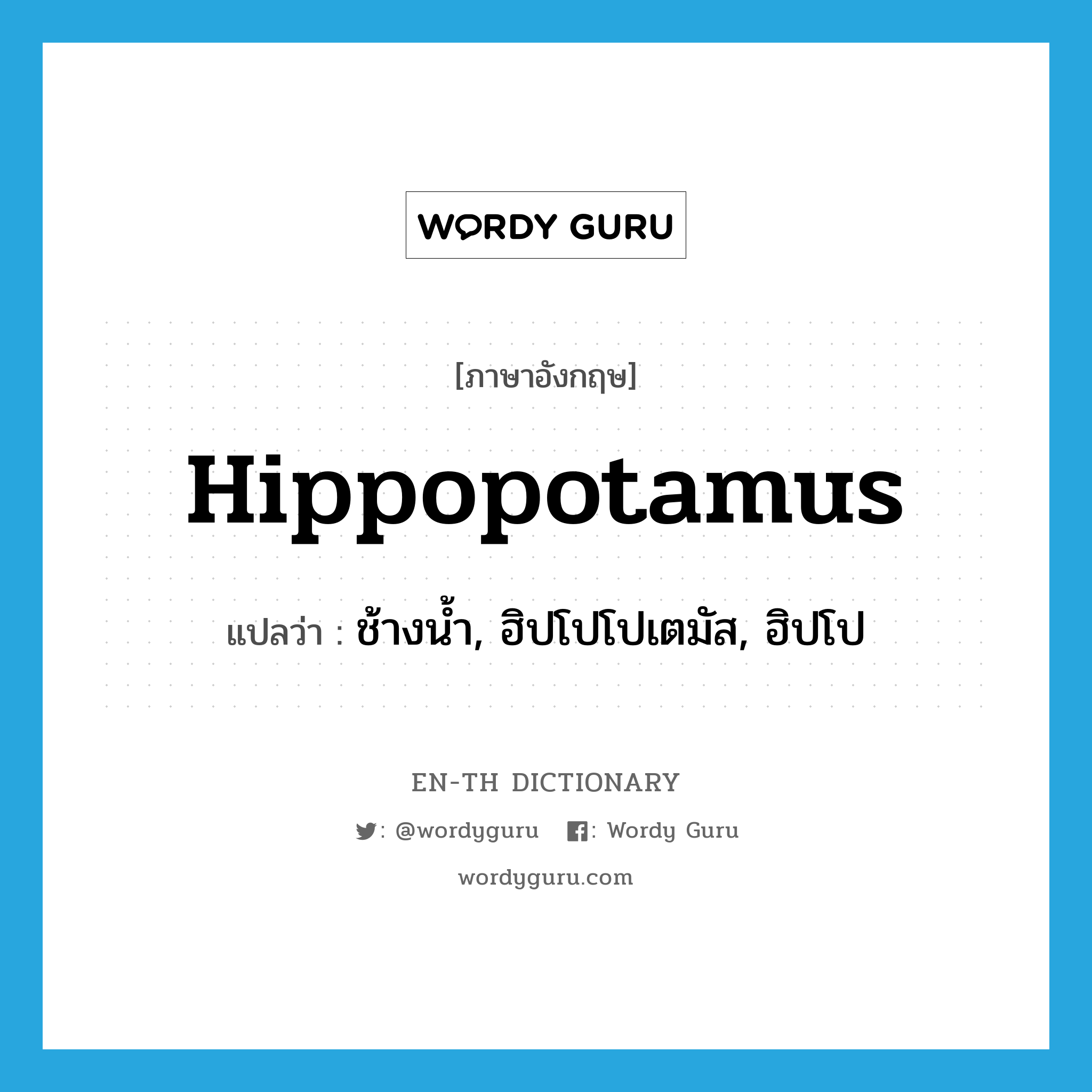 hippopotamus แปลว่า?, คำศัพท์ภาษาอังกฤษ hippopotamus แปลว่า ช้างน้ำ, ฮิปโปโปเตมัส, ฮิปโป ประเภท N หมวด N