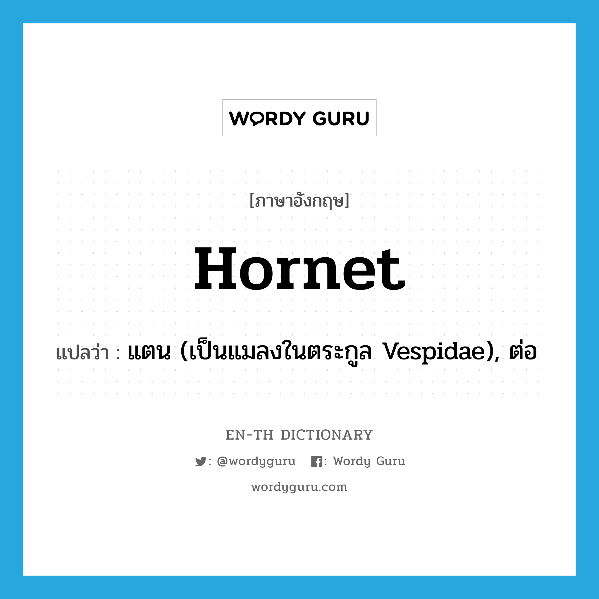 hornet แปลว่า?, คำศัพท์ภาษาอังกฤษ hornet แปลว่า แตน (เป็นแมลงในตระกูล Vespidae), ต่อ ประเภท N หมวด N