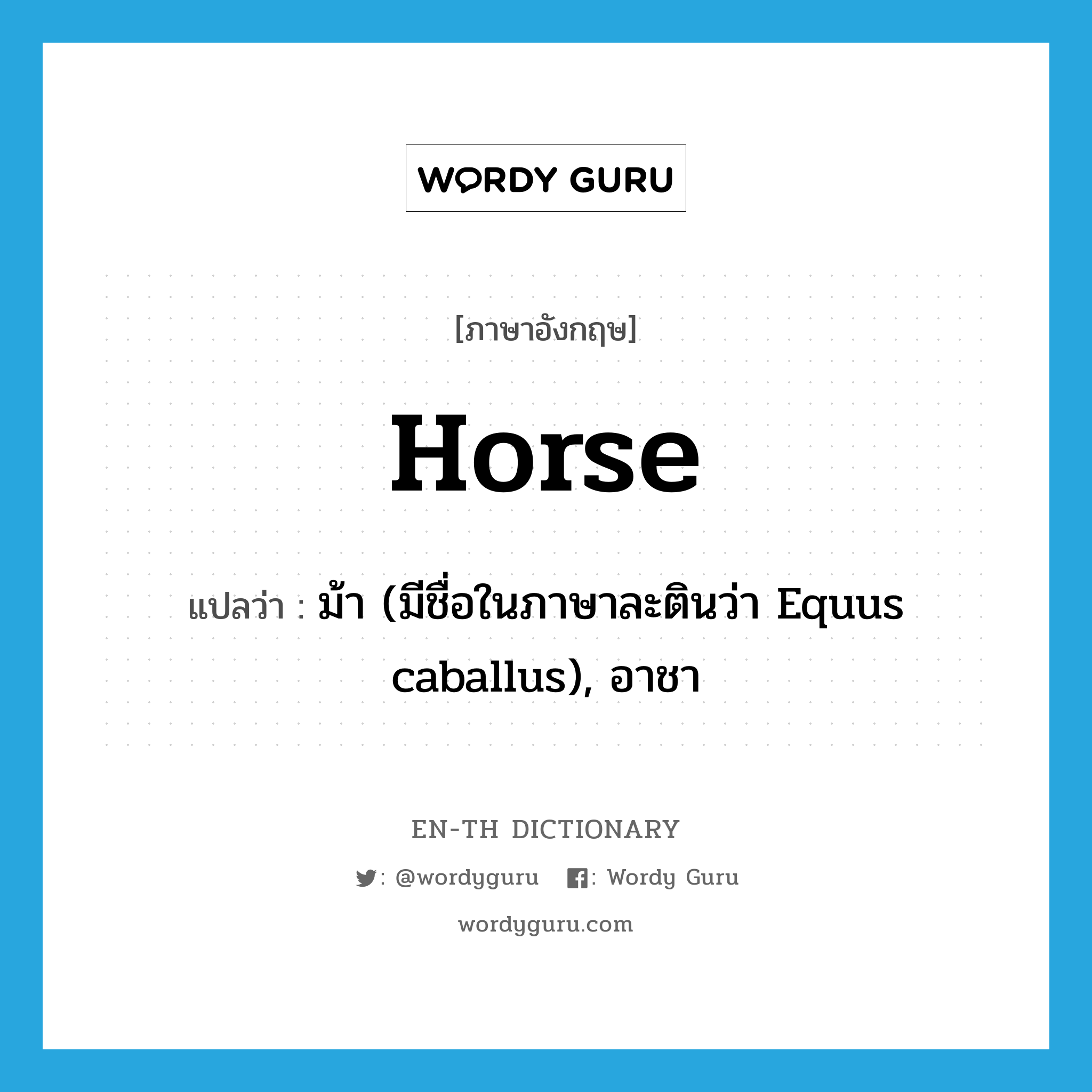 ม้า (มีชื่อในภาษาละตินว่า Equus caballus), อาชา ภาษาอังกฤษ?, คำศัพท์ภาษาอังกฤษ ม้า (มีชื่อในภาษาละตินว่า Equus caballus), อาชา แปลว่า horse ประเภท N หมวด N