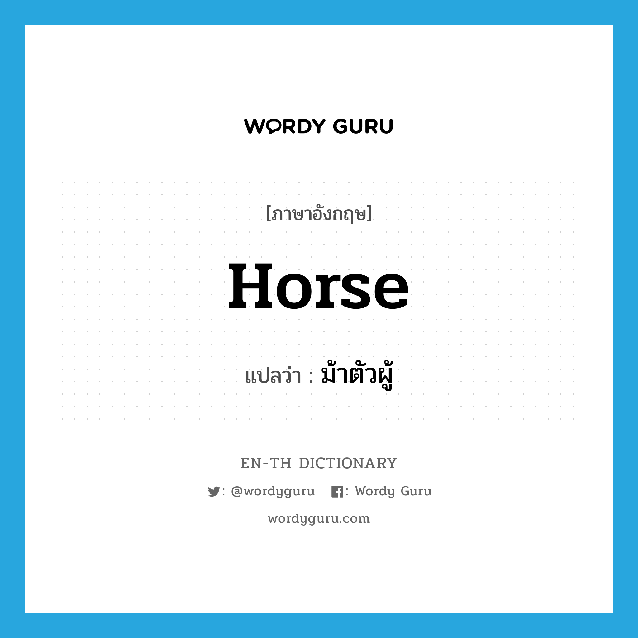 horse แปลว่า?, คำศัพท์ภาษาอังกฤษ horse แปลว่า ม้าตัวผู้ ประเภท N หมวด N