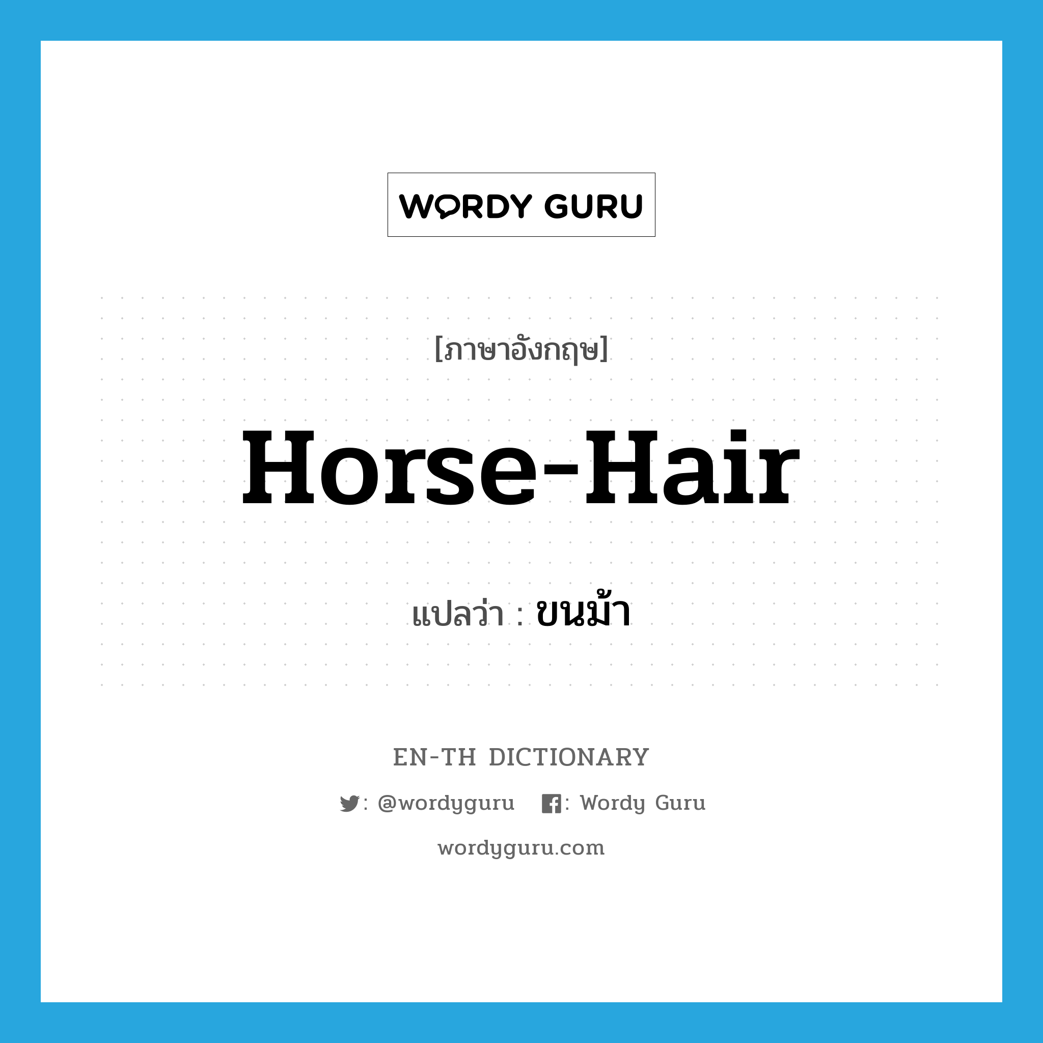 horse-hair แปลว่า?, คำศัพท์ภาษาอังกฤษ horse-hair แปลว่า ขนม้า ประเภท N หมวด N