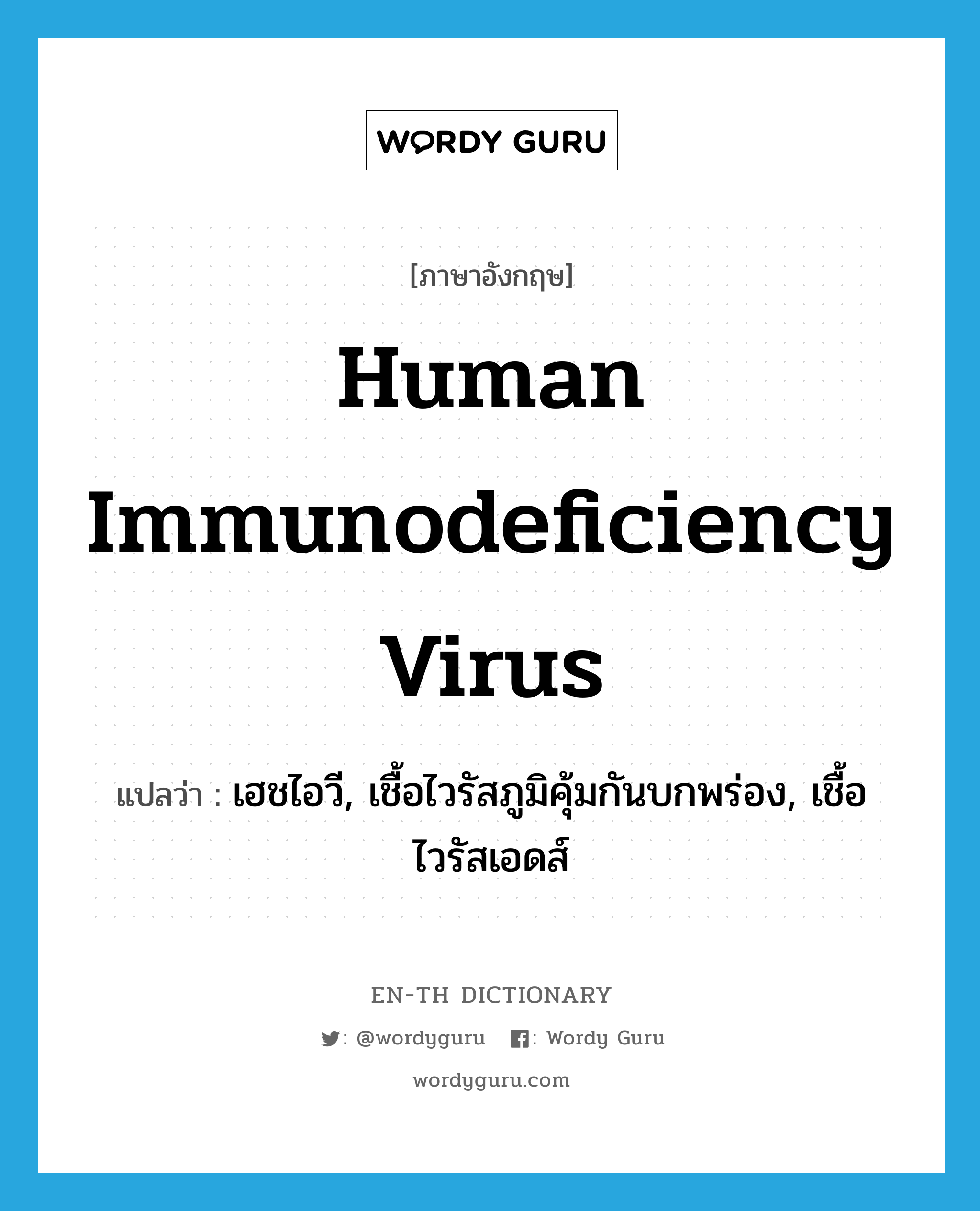 human immunodeficiency virus แปลว่า?, คำศัพท์ภาษาอังกฤษ human immunodeficiency virus แปลว่า เฮชไอวี, เชื้อไวรัสภูมิคุ้มกันบกพร่อง, เชื้อไวรัสเอดส์ ประเภท N หมวด N