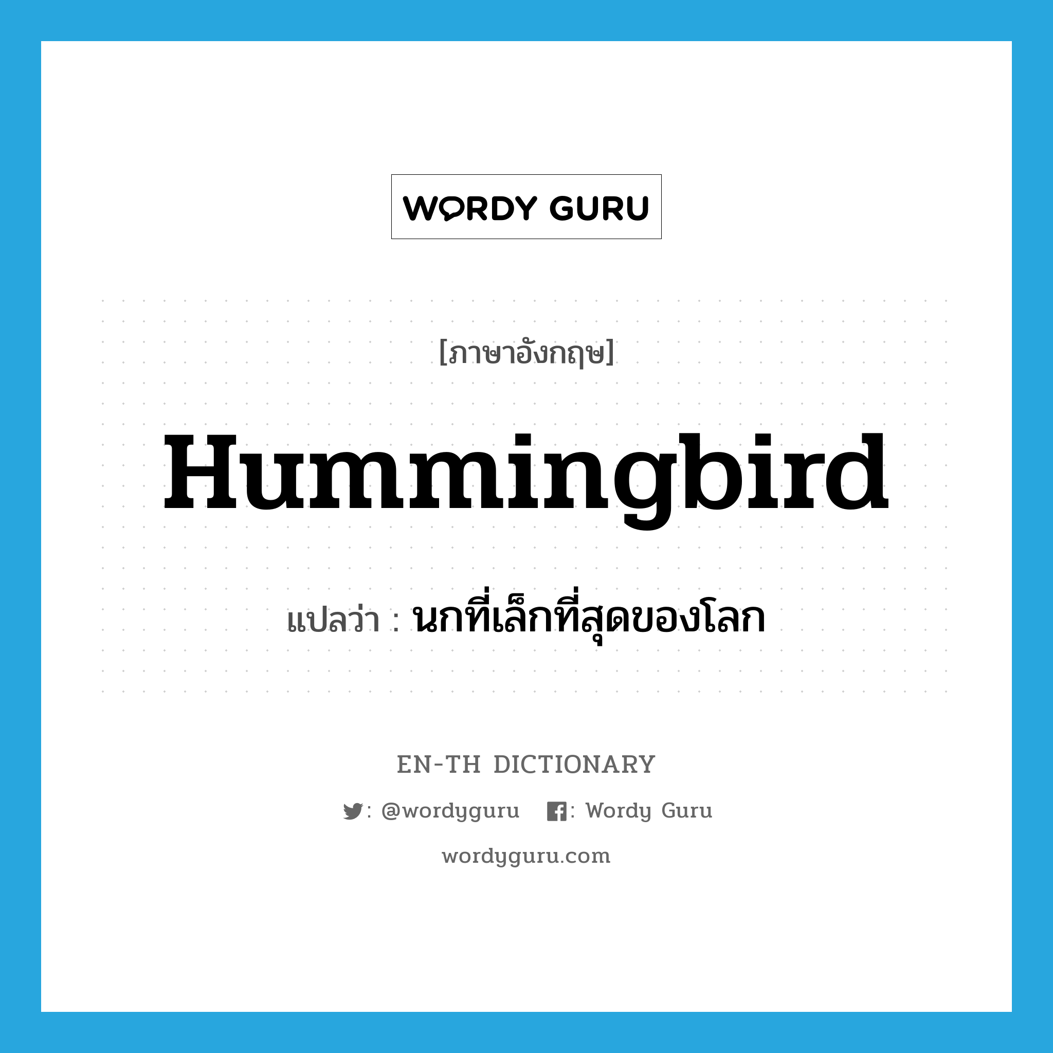 hummingbird แปลว่า?, คำศัพท์ภาษาอังกฤษ hummingbird แปลว่า นกที่เล็กที่สุดของโลก ประเภท N หมวด N