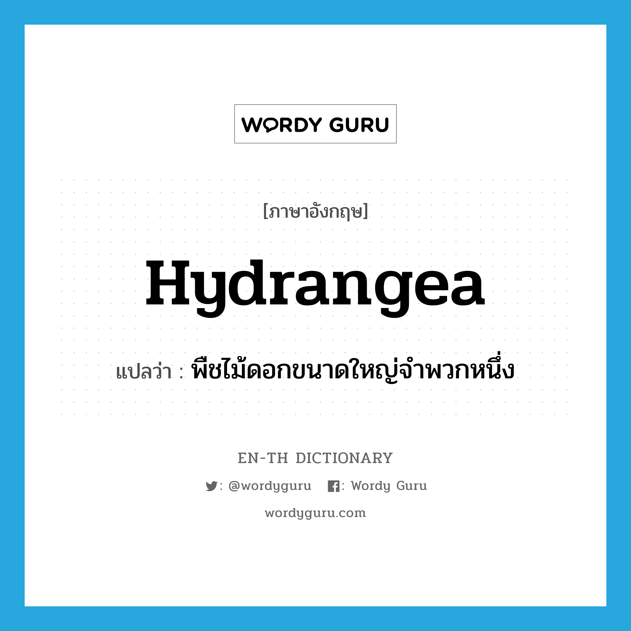 hydrangea แปลว่า?, คำศัพท์ภาษาอังกฤษ hydrangea แปลว่า พืชไม้ดอกขนาดใหญ่จำพวกหนึ่ง ประเภท N หมวด N
