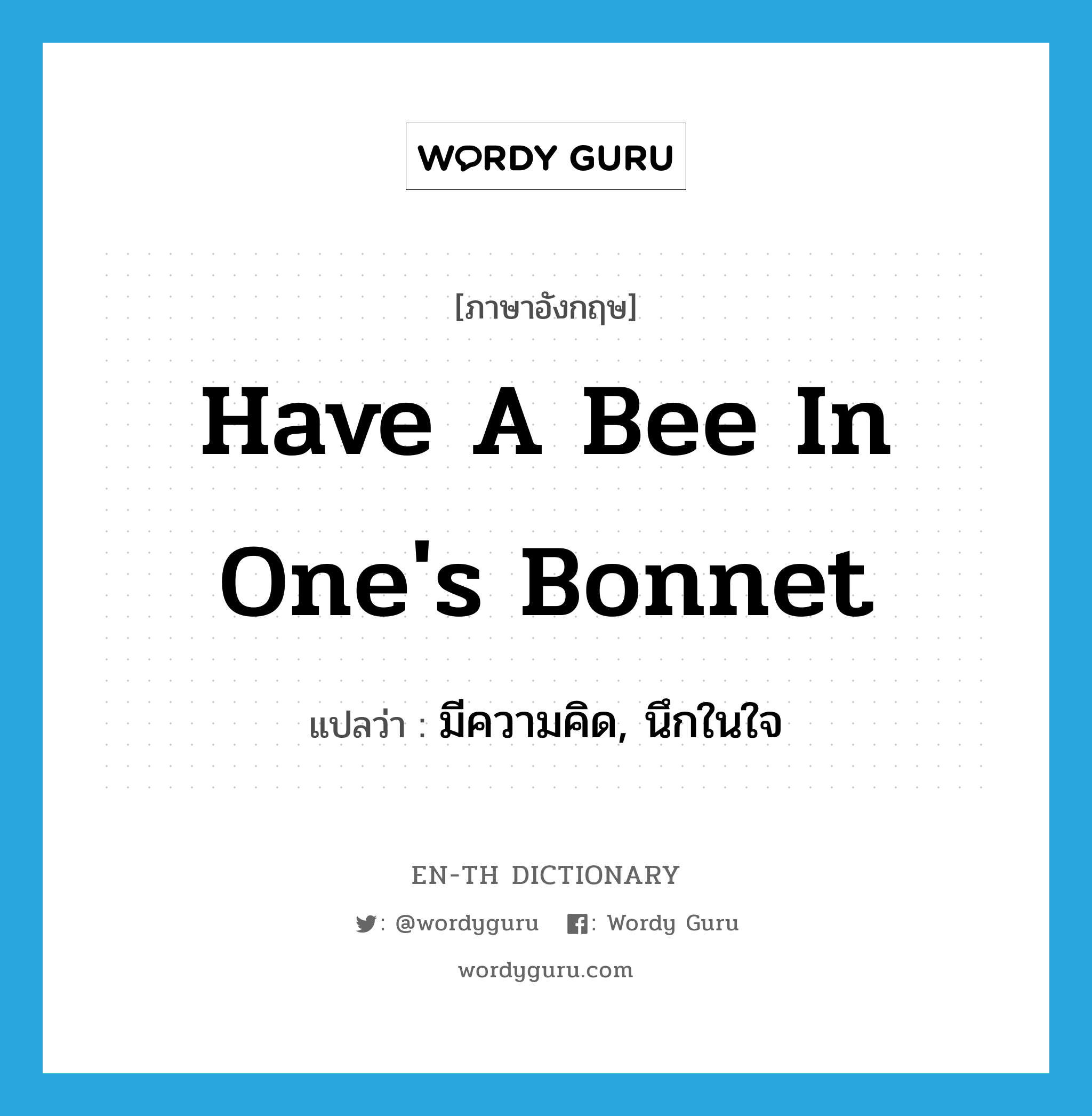 have a bee in one's bonnet แปลว่า?, คำศัพท์ภาษาอังกฤษ have a bee in one's bonnet แปลว่า มีความคิด, นึกในใจ ประเภท IDM หมวด IDM