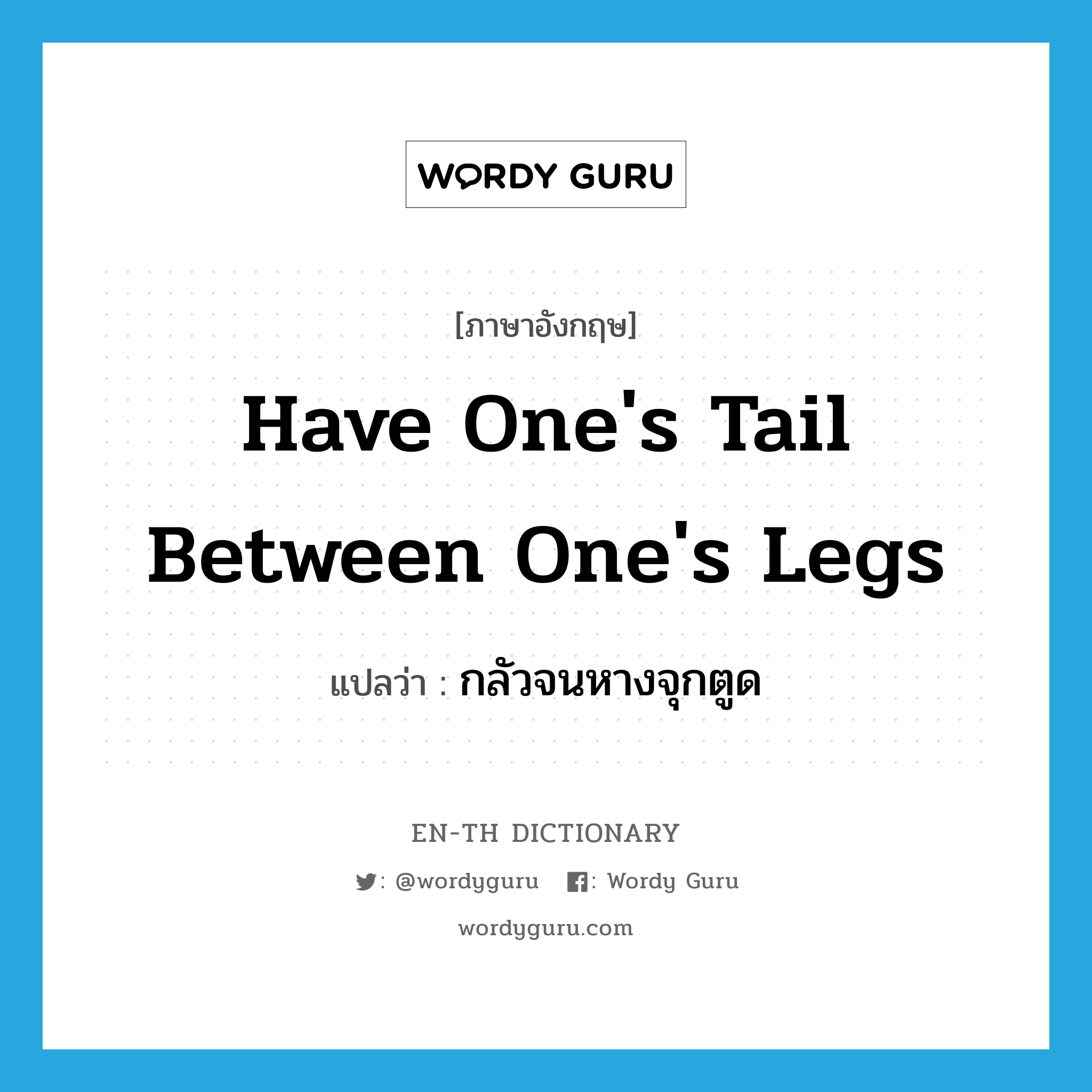 have one's tail between one's legs แปลว่า?, คำศัพท์ภาษาอังกฤษ have one's tail between one's legs แปลว่า กลัวจนหางจุกตูด ประเภท IDM หมวด IDM