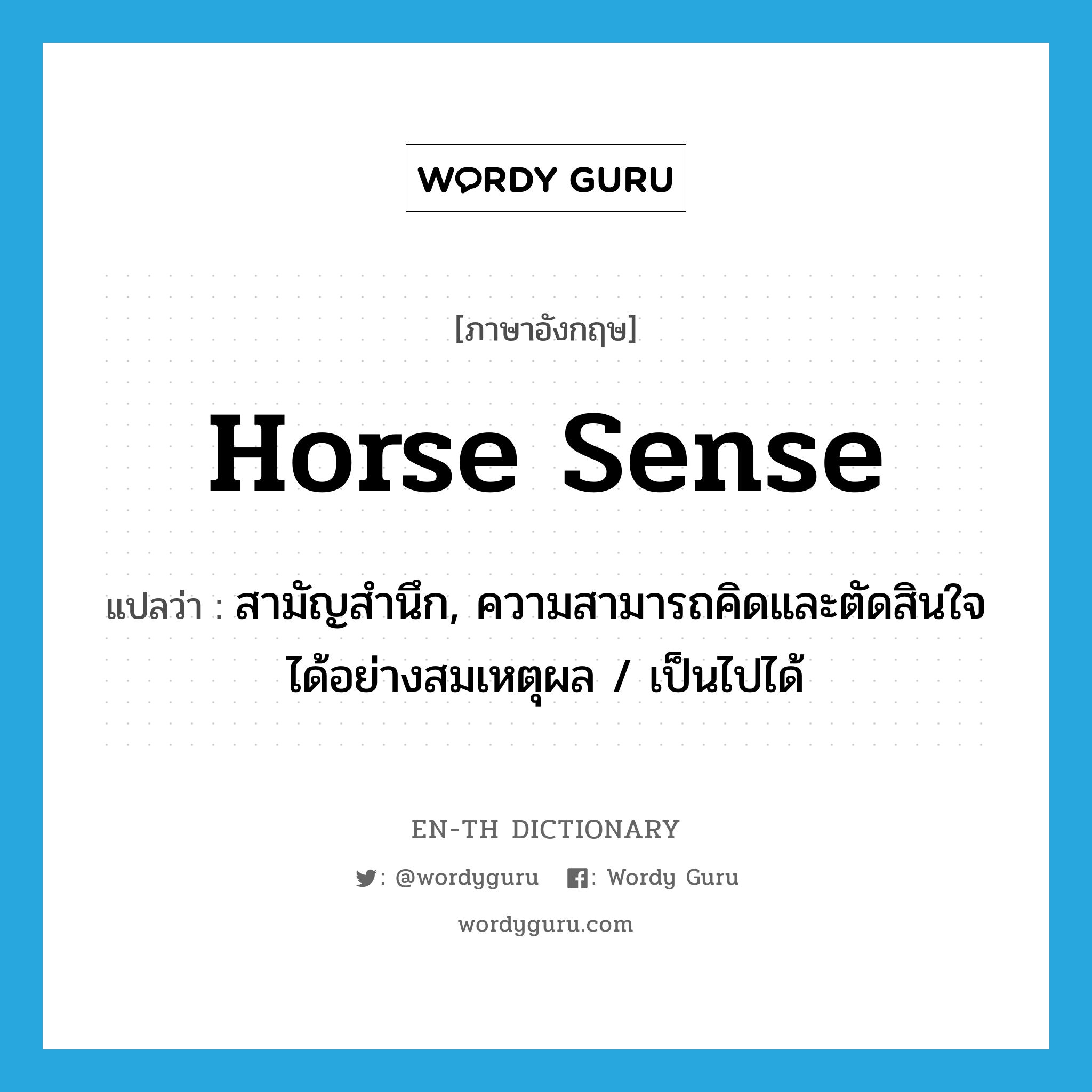 horse sense แปลว่า?, คำศัพท์ภาษาอังกฤษ horse sense แปลว่า สามัญสำนึก, ความสามารถคิดและตัดสินใจได้อย่างสมเหตุผล / เป็นไปได้ ประเภท IDM หมวด IDM