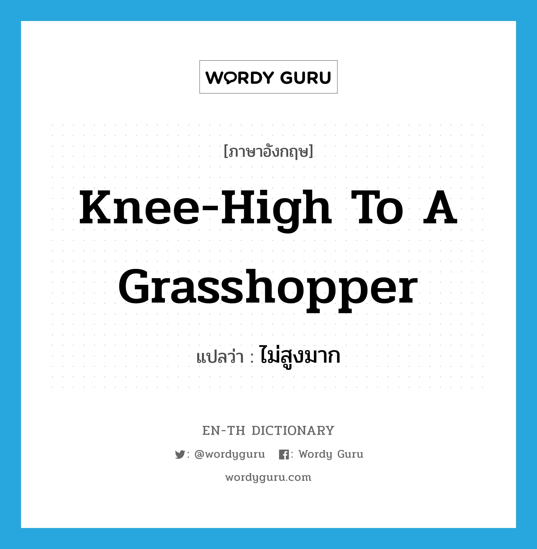 knee-high to a grasshopper แปลว่า?, คำศัพท์ภาษาอังกฤษ knee-high to a grasshopper แปลว่า ไม่สูงมาก ประเภท IDM หมวด IDM