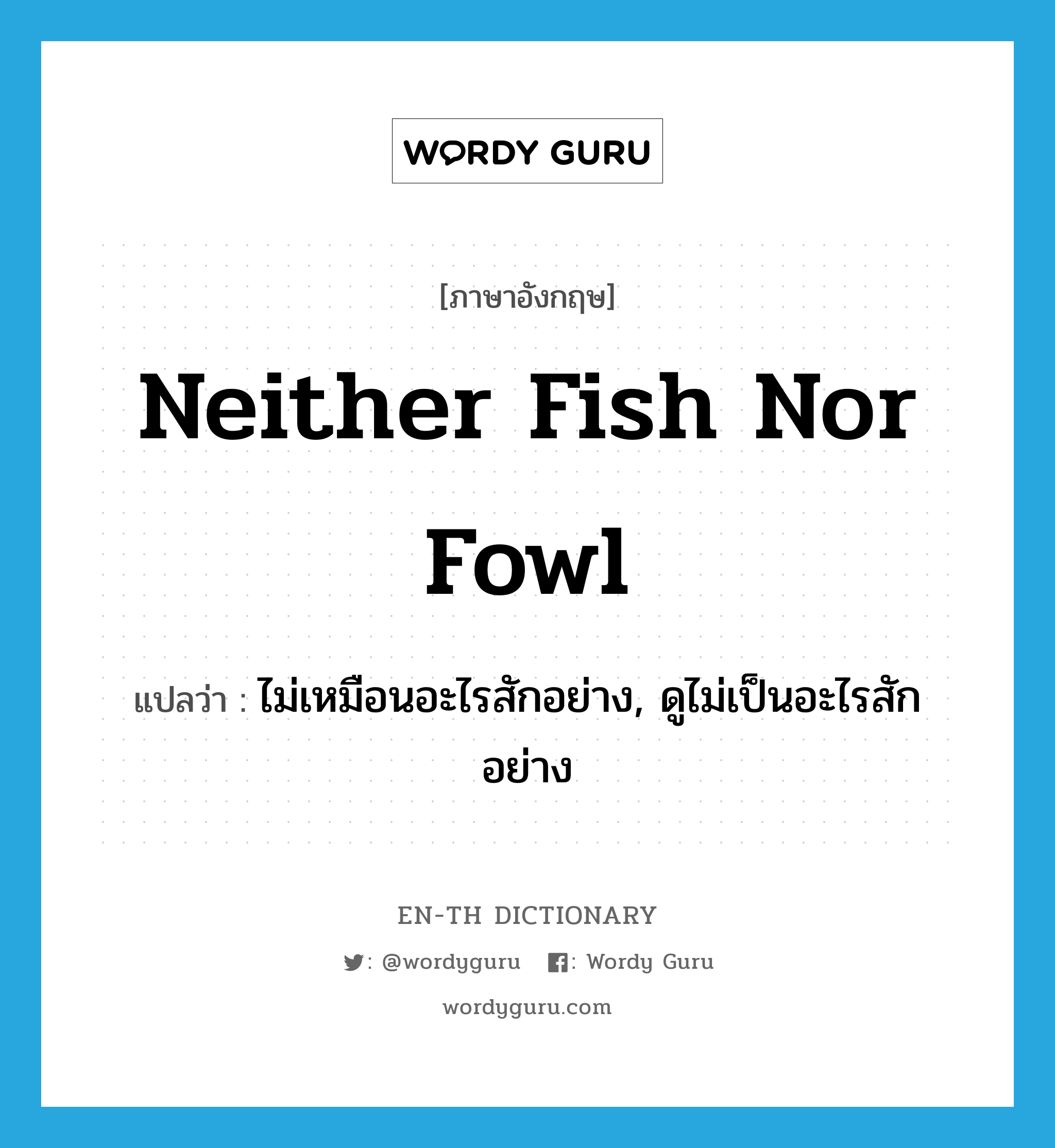 neither fish nor fowl แปลว่า?, คำศัพท์ภาษาอังกฤษ neither fish nor fowl แปลว่า ไม่เหมือนอะไรสักอย่าง, ดูไม่เป็นอะไรสักอย่าง ประเภท IDM หมวด IDM