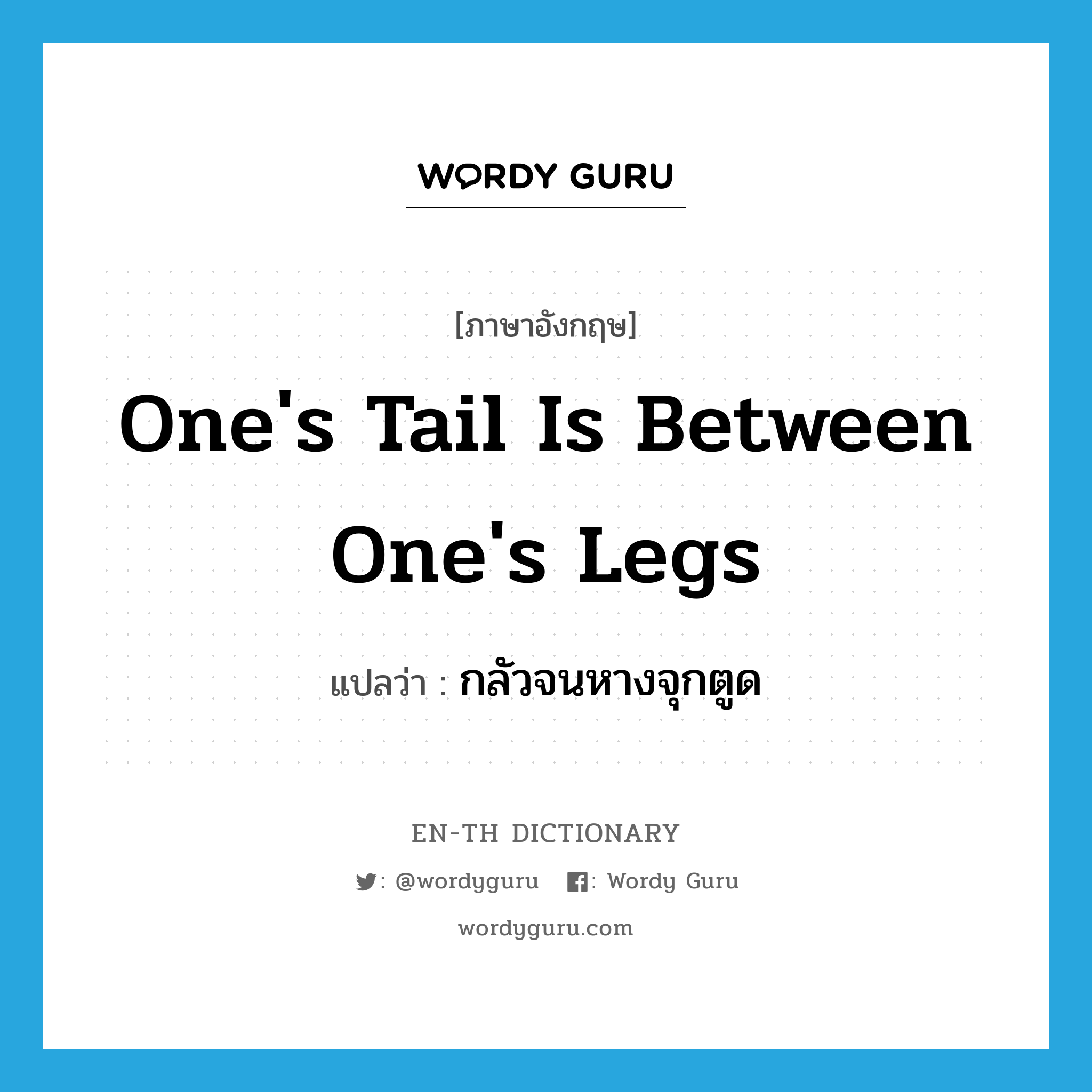 one's tail is between one's legs แปลว่า?, คำศัพท์ภาษาอังกฤษ one's tail is between one's legs แปลว่า กลัวจนหางจุกตูด ประเภท IDM หมวด IDM