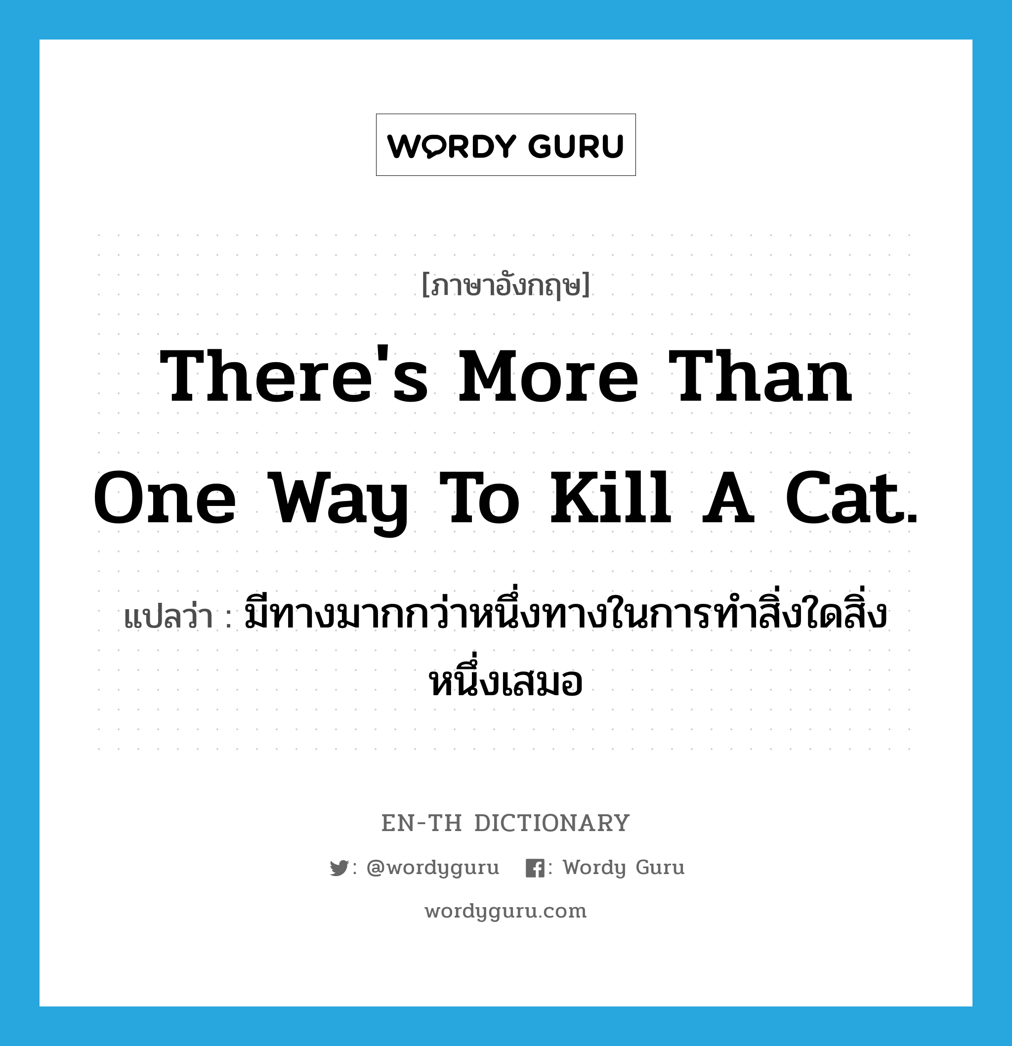 มีทางมากกว่าหนึ่งทางในการทำสิ่งใดสิ่งหนึ่งเสมอ ภาษาอังกฤษ?, คำศัพท์ภาษาอังกฤษ มีทางมากกว่าหนึ่งทางในการทำสิ่งใดสิ่งหนึ่งเสมอ แปลว่า There's more than one way to kill a cat. ประเภท IDM หมวด IDM
