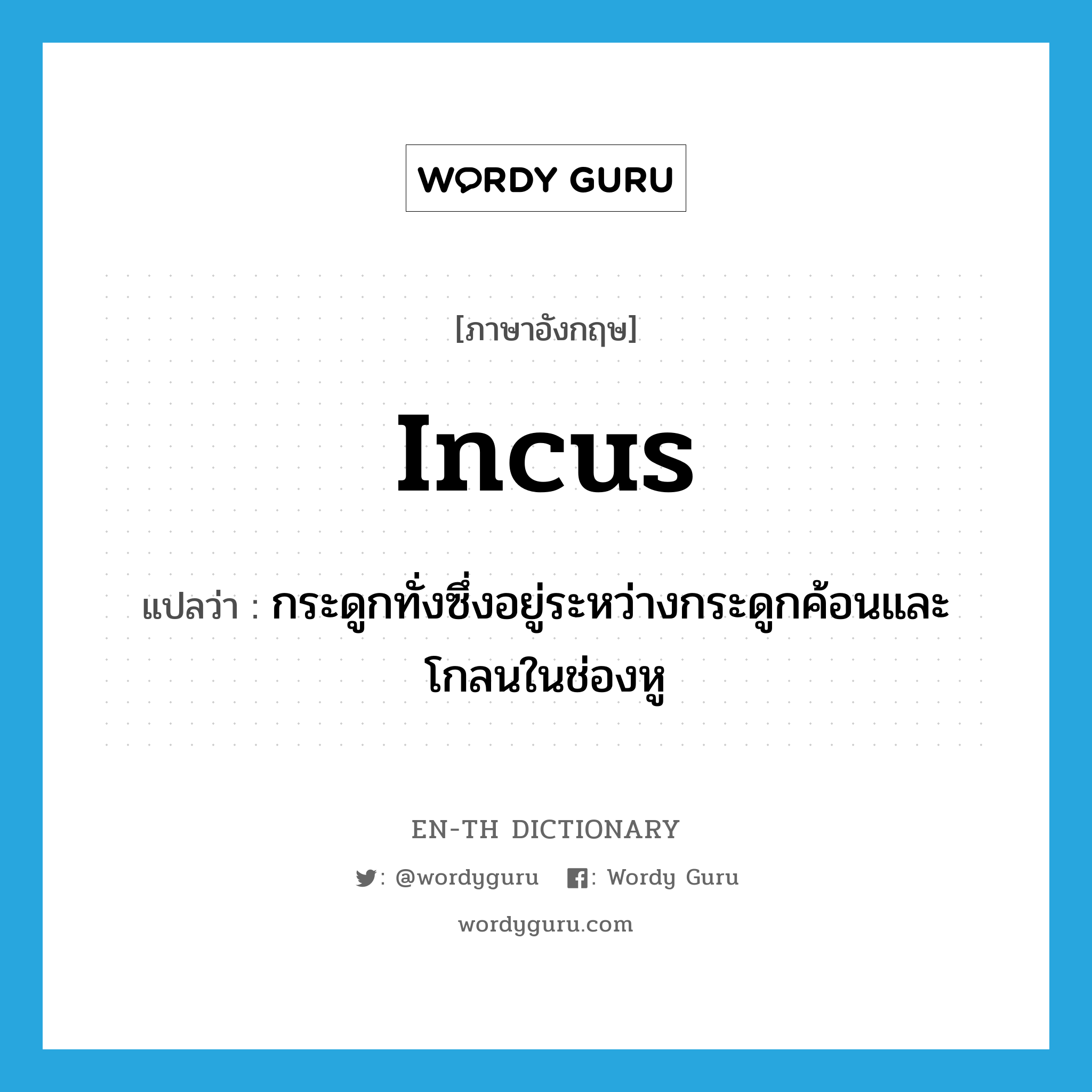 incus แปลว่า?, คำศัพท์ภาษาอังกฤษ incus แปลว่า กระดูกทั่งซึ่งอยู่ระหว่างกระดูกค้อนและโกลนในช่องหู ประเภท N หมวด N
