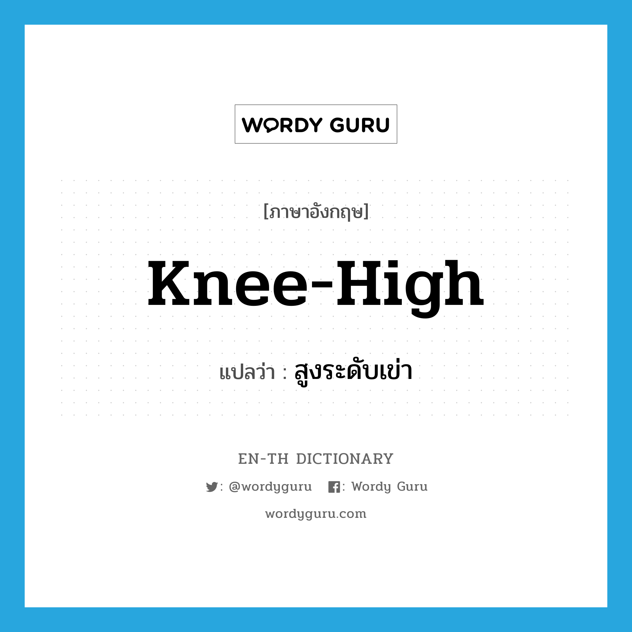 knee-high แปลว่า?, คำศัพท์ภาษาอังกฤษ knee-high แปลว่า สูงระดับเข่า ประเภท ADJ หมวด ADJ