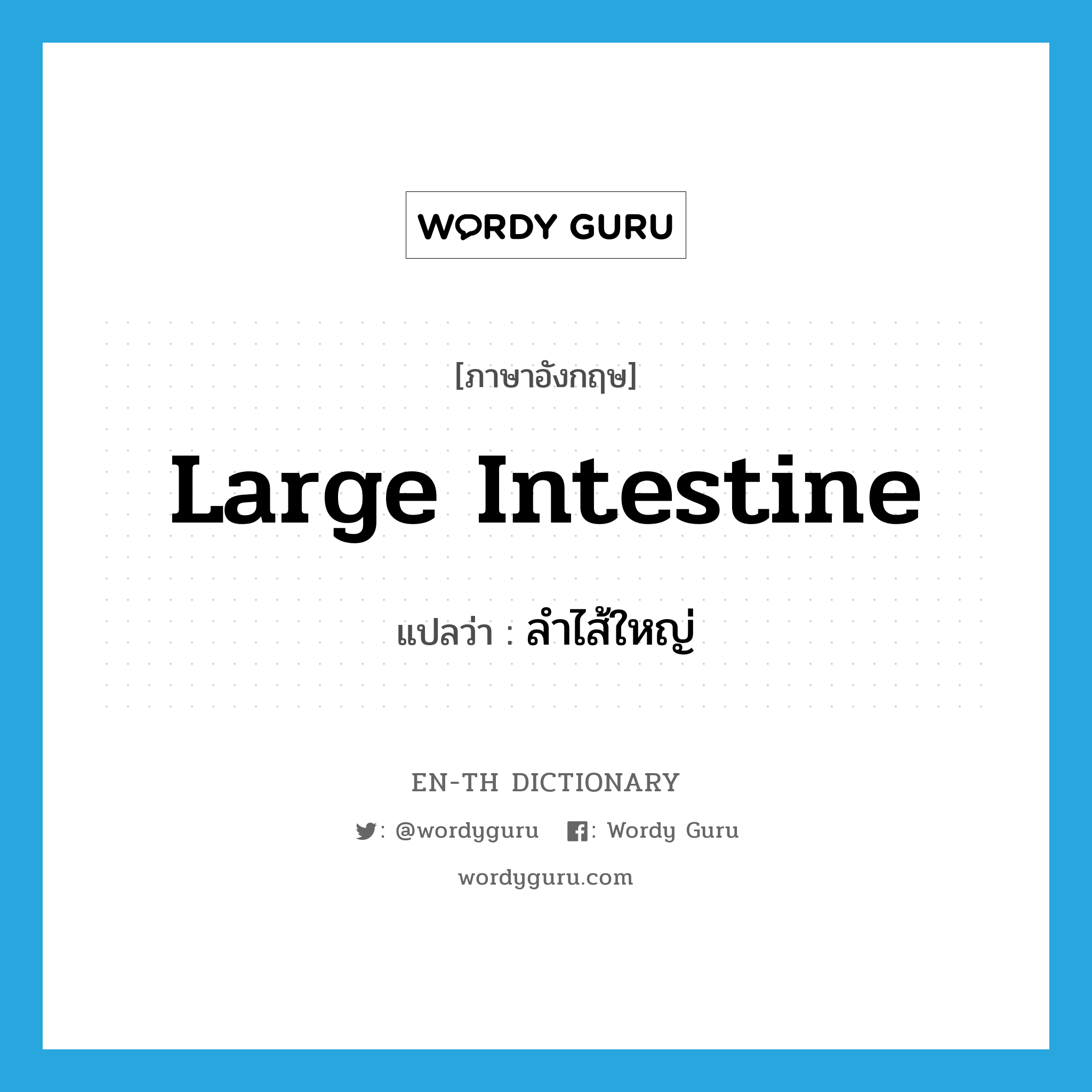 large intestine แปลว่า?, คำศัพท์ภาษาอังกฤษ large intestine แปลว่า ลำไส้ใหญ่ ประเภท N หมวด N