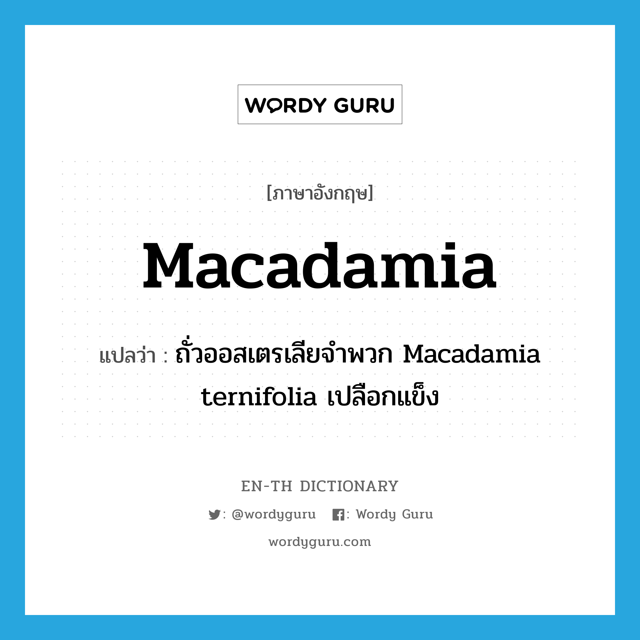 ถั่วออสเตรเลียจำพวก Macadamia ternifolia เปลือกแข็ง ภาษาอังกฤษ?, คำศัพท์ภาษาอังกฤษ ถั่วออสเตรเลียจำพวก Macadamia ternifolia เปลือกแข็ง แปลว่า macadamia ประเภท N หมวด N