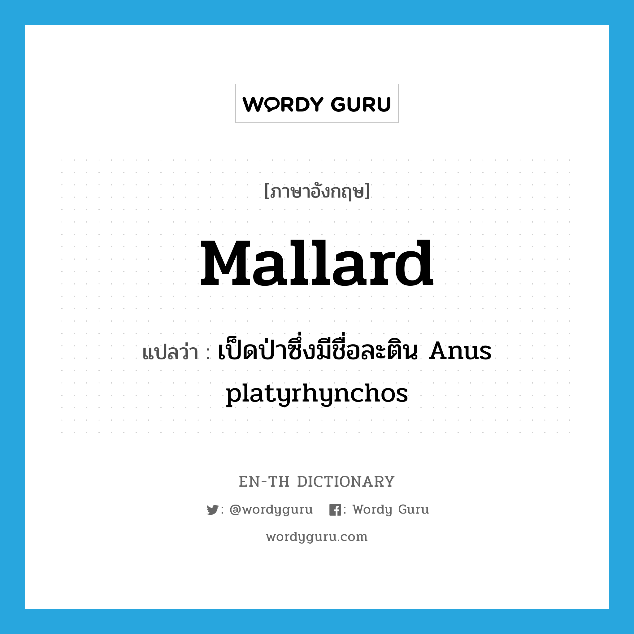 mallard แปลว่า?, คำศัพท์ภาษาอังกฤษ mallard แปลว่า เป็ดป่าซึ่งมีชื่อละติน Anus platyrhynchos ประเภท N หมวด N