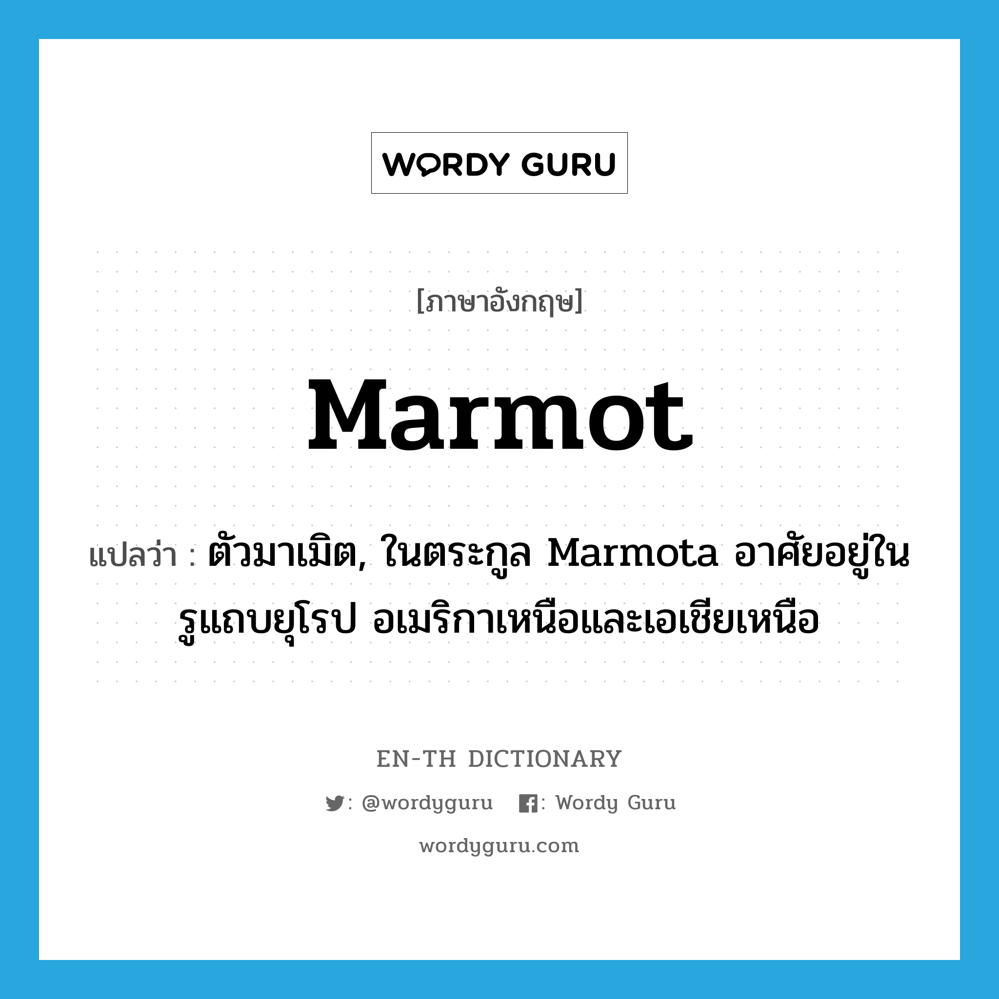 marmot แปลว่า?, คำศัพท์ภาษาอังกฤษ marmot แปลว่า ตัวมาเมิต, ในตระกูล Marmota อาศัยอยู่ในรูแถบยุโรป อเมริกาเหนือและเอเชียเหนือ ประเภท N หมวด N