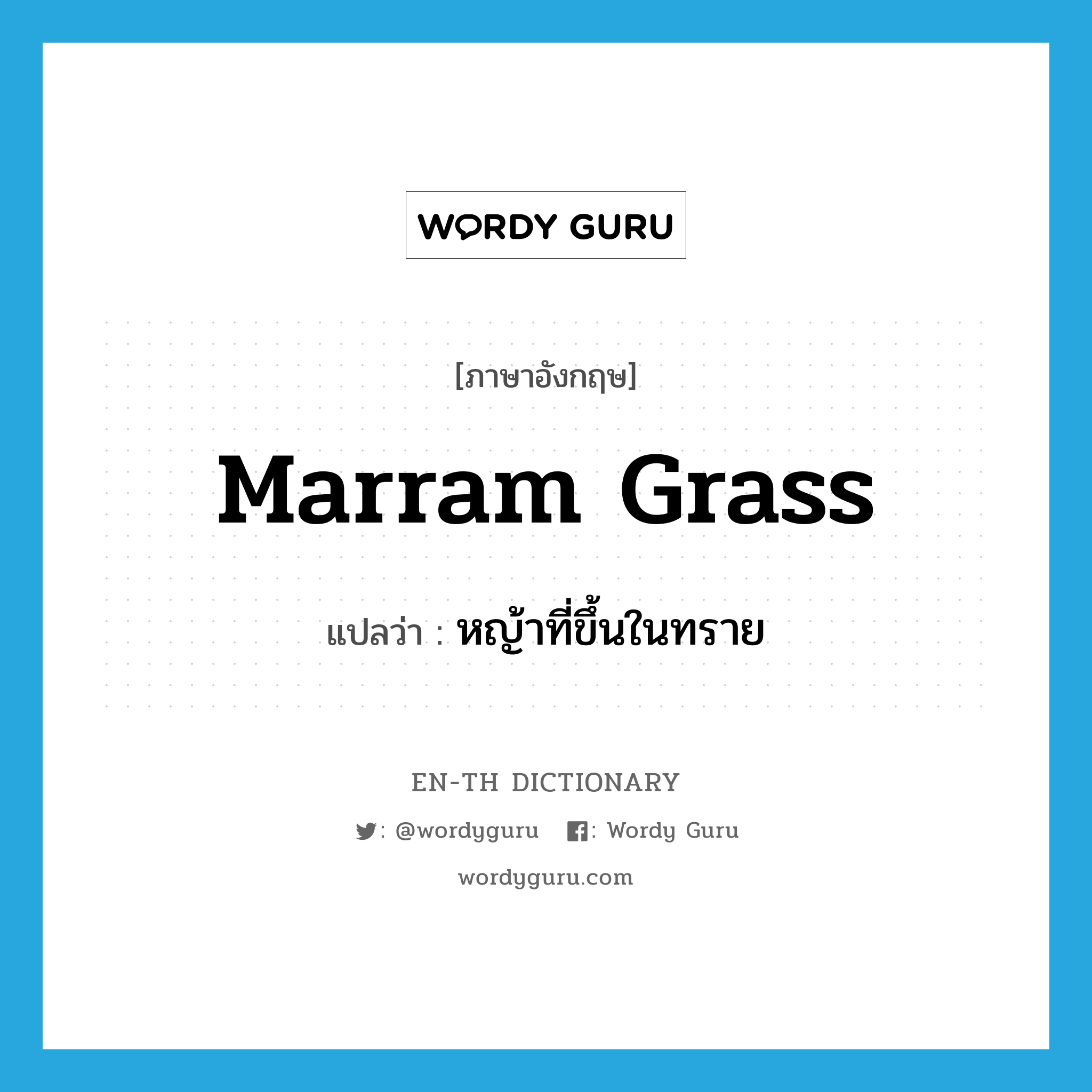 marram grass แปลว่า?, คำศัพท์ภาษาอังกฤษ marram grass แปลว่า หญ้าที่ขึ้นในทราย ประเภท N หมวด N