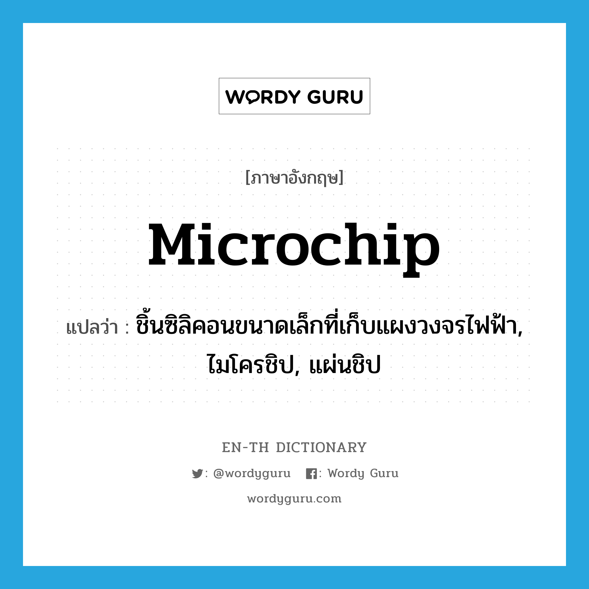 microchip แปลว่า?, คำศัพท์ภาษาอังกฤษ microchip แปลว่า ชิ้นซิลิคอนขนาดเล็กที่เก็บแผงวงจรไฟฟ้า, ไมโครชิป, แผ่นชิป ประเภท N หมวด N