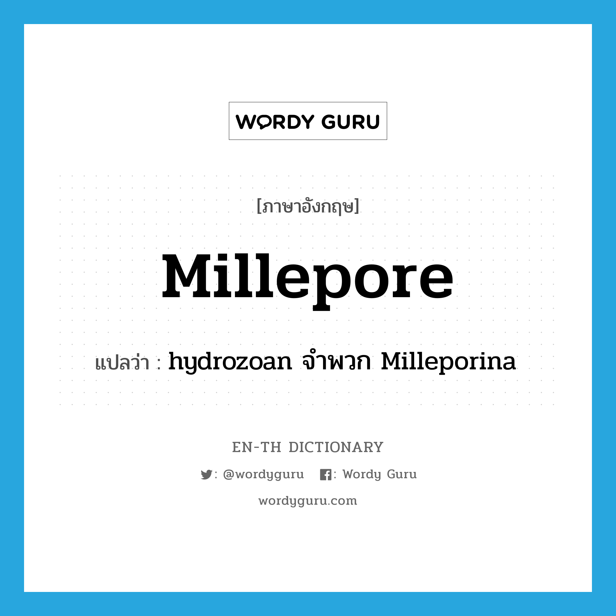 millepore แปลว่า?, คำศัพท์ภาษาอังกฤษ millepore แปลว่า hydrozoan จำพวก Milleporina ประเภท N หมวด N