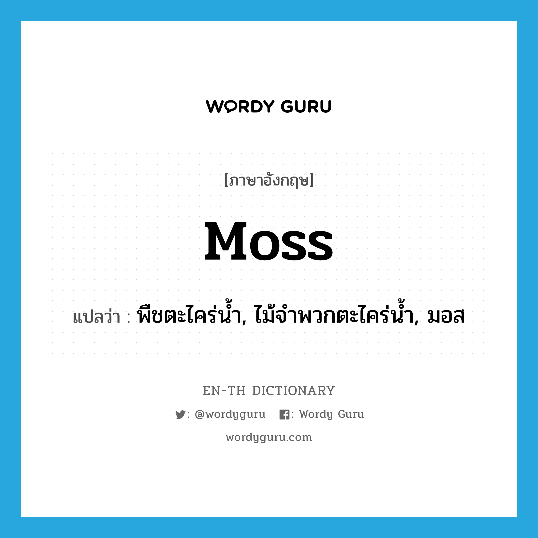 moss แปลว่า?, คำศัพท์ภาษาอังกฤษ moss แปลว่า พืชตะไคร่น้ำ, ไม้จำพวกตะไคร่น้ำ, มอส ประเภท N หมวด N