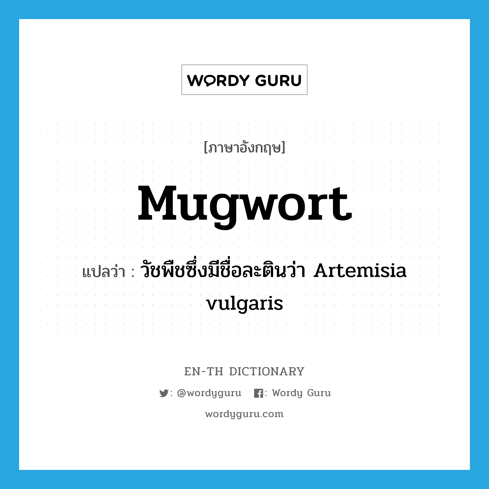 mugwort แปลว่า?, คำศัพท์ภาษาอังกฤษ mugwort แปลว่า วัชพืชซึ่งมีชื่อละตินว่า Artemisia vulgaris ประเภท N หมวด N