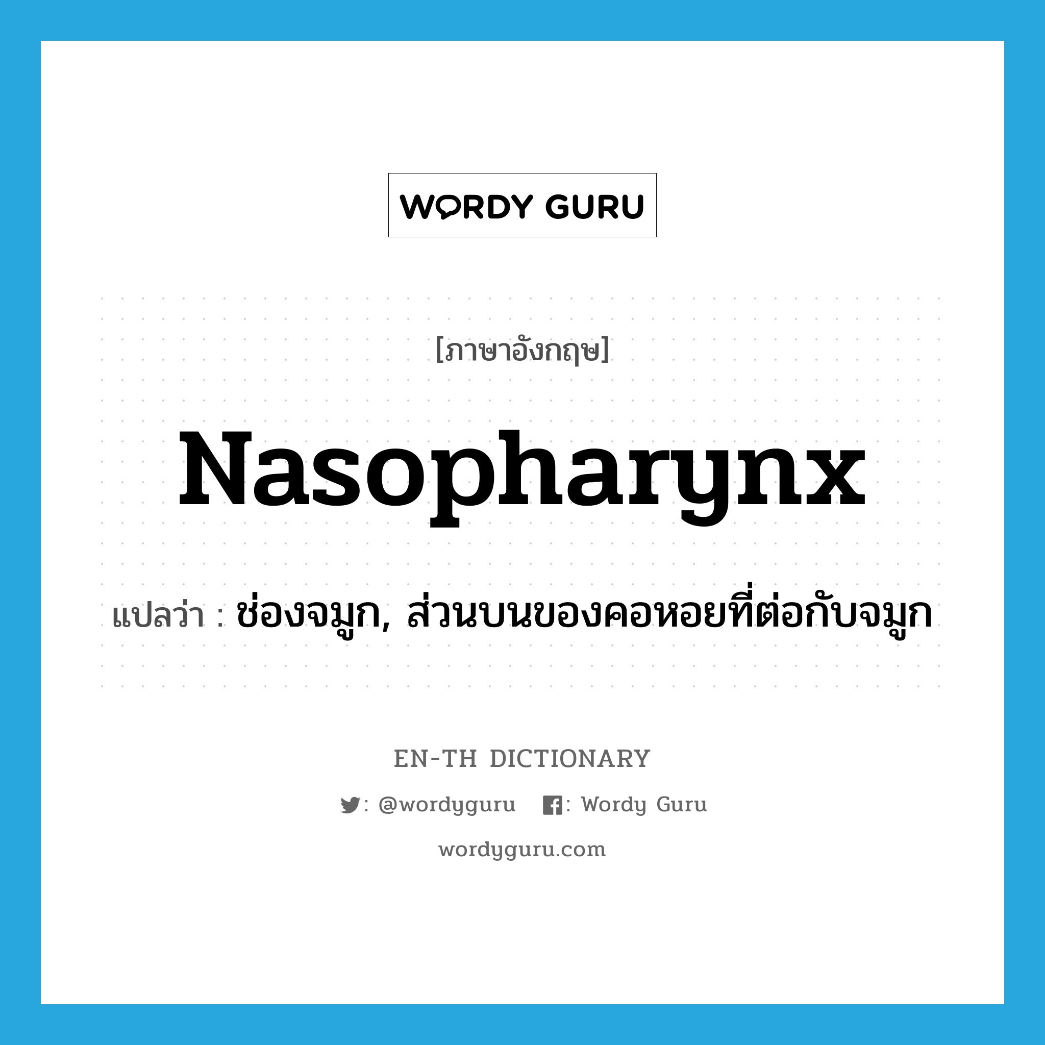 nasopharynx แปลว่า?, คำศัพท์ภาษาอังกฤษ nasopharynx แปลว่า ช่องจมูก, ส่วนบนของคอหอยที่ต่อกับจมูก ประเภท N หมวด N