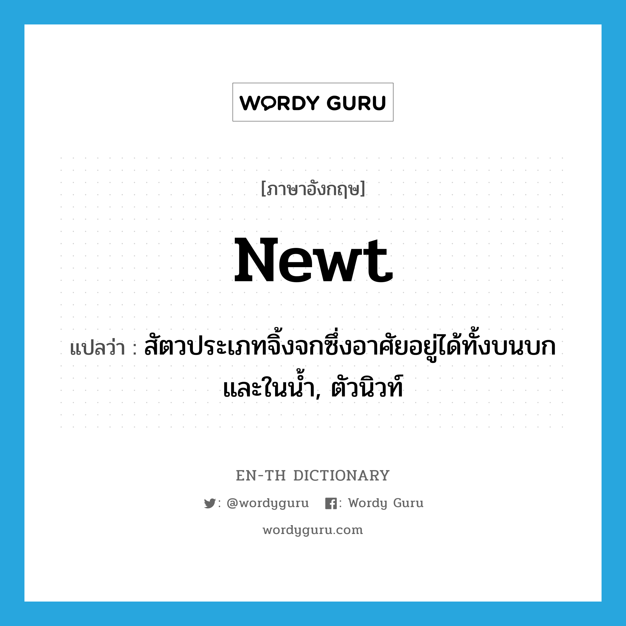 newt แปลว่า?, คำศัพท์ภาษาอังกฤษ newt แปลว่า สัตวประเภทจิ้งจกซึ่งอาศัยอยู่ได้ทั้งบนบกและในน้ำ, ตัวนิวท์ ประเภท N หมวด N
