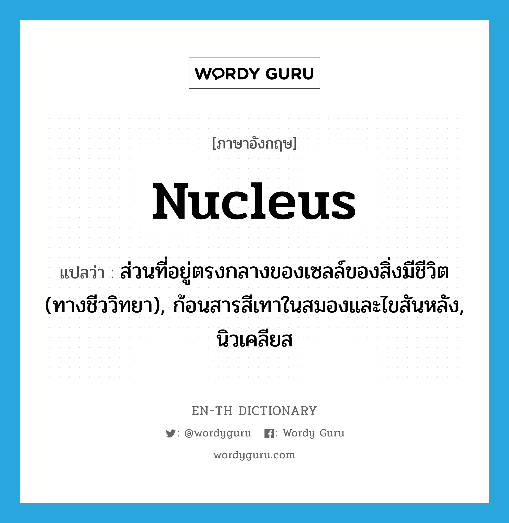 nucleus แปลว่า?, คำศัพท์ภาษาอังกฤษ nucleus แปลว่า ส่วนที่อยู่ตรงกลางของเซลล์ของสิ่งมีชีวิต (ทางชีววิทยา), ก้อนสารสีเทาในสมองและไขสันหลัง, นิวเคลียส ประเภท N หมวด N