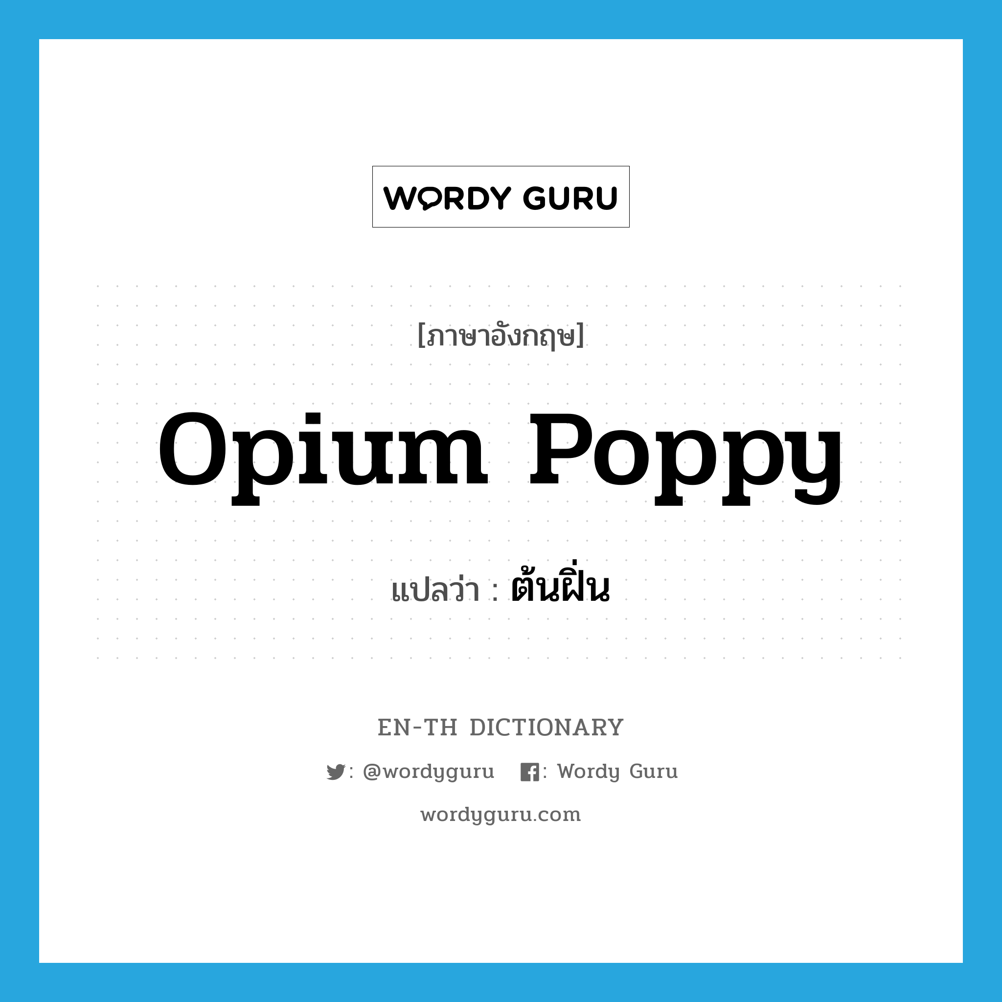 opium poppy แปลว่า?, คำศัพท์ภาษาอังกฤษ opium poppy แปลว่า ต้นฝิ่น ประเภท N หมวด N