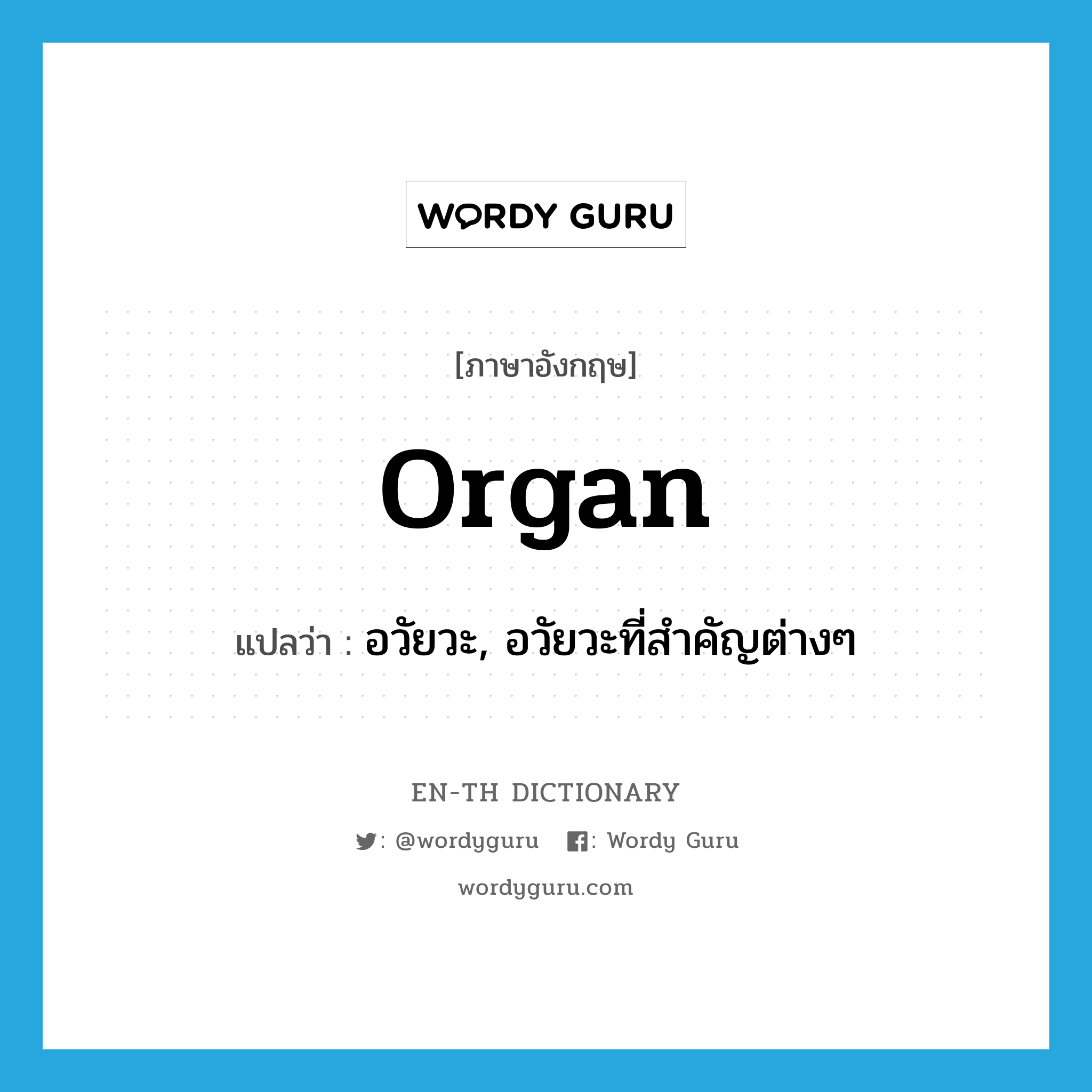 organ แปลว่า?, คำศัพท์ภาษาอังกฤษ organ แปลว่า อวัยวะ, อวัยวะที่สำคัญต่างๆ ประเภท N หมวด N