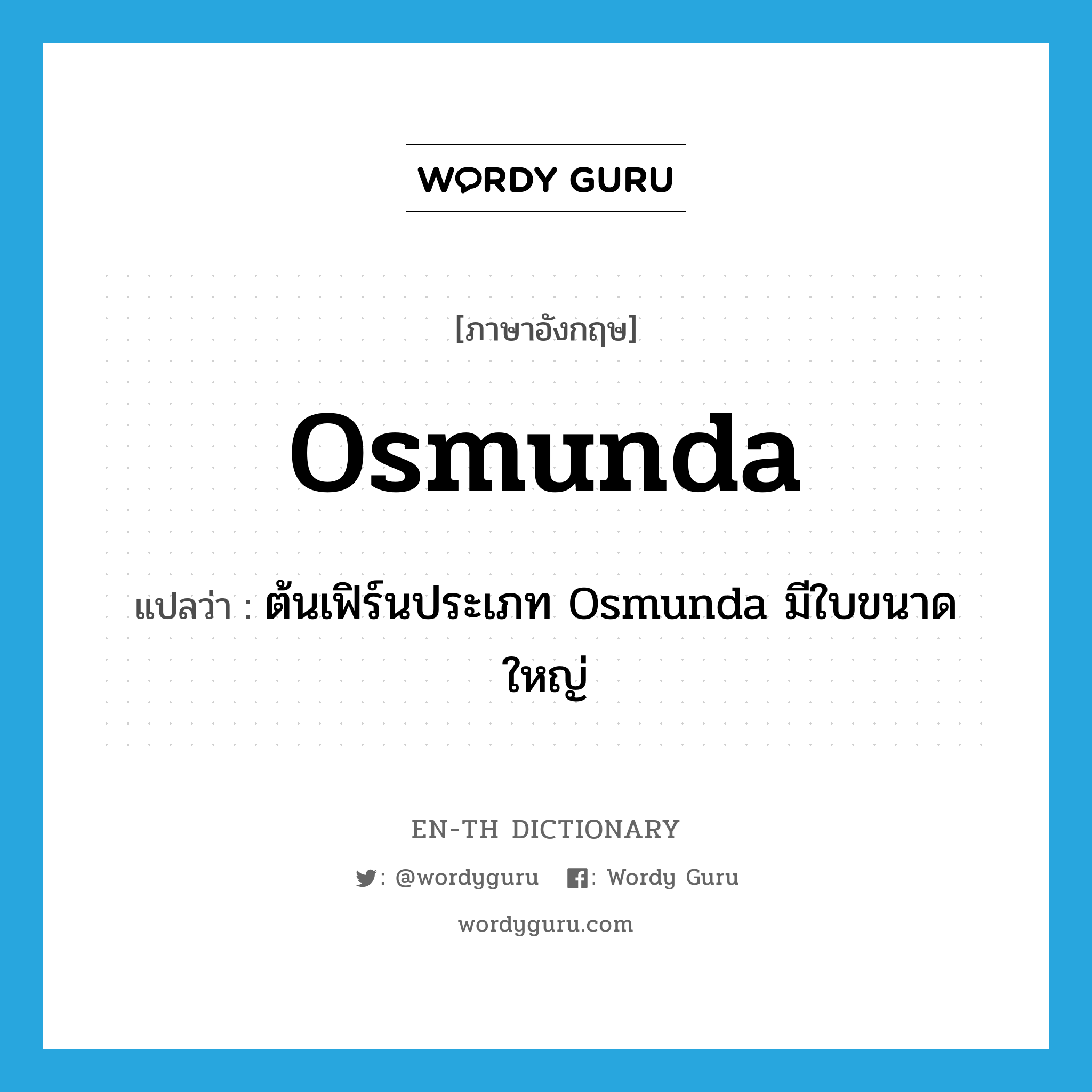 osmunda แปลว่า?, คำศัพท์ภาษาอังกฤษ osmunda แปลว่า ต้นเฟิร์นประเภท Osmunda มีใบขนาดใหญ่ ประเภท N หมวด N