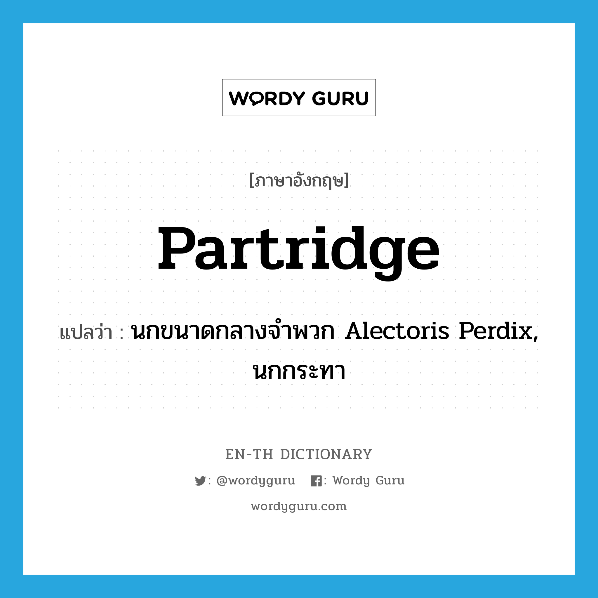partridge แปลว่า?, คำศัพท์ภาษาอังกฤษ partridge แปลว่า นกขนาดกลางจำพวก Alectoris Perdix, นกกระทา ประเภท N หมวด N