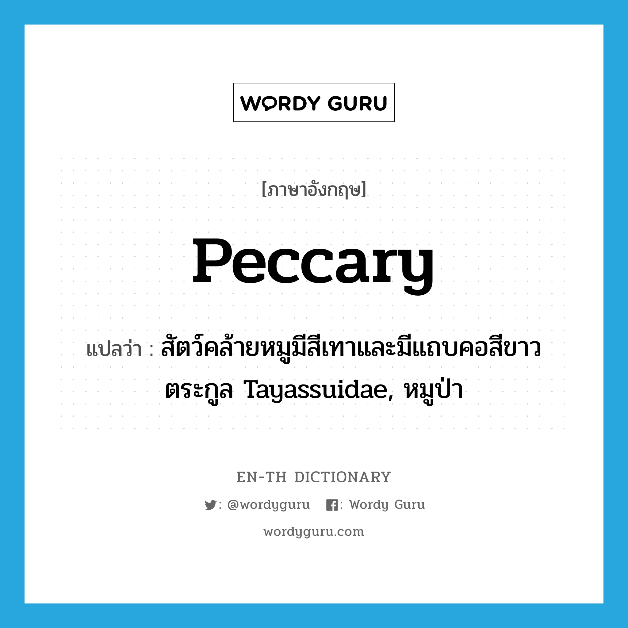 peccary แปลว่า?, คำศัพท์ภาษาอังกฤษ peccary แปลว่า สัตว์คล้ายหมูมีสีเทาและมีแถบคอสีขาวตระกูล Tayassuidae, หมูป่า ประเภท N หมวด N
