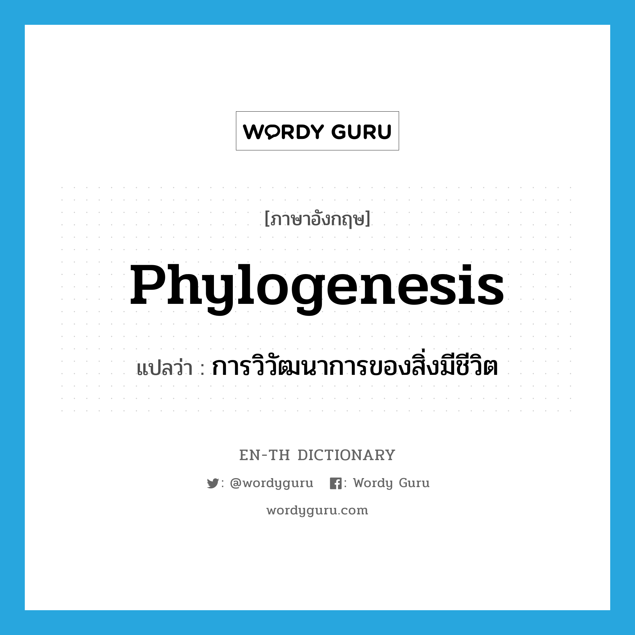 phylogenesis แปลว่า?, คำศัพท์ภาษาอังกฤษ phylogenesis แปลว่า การวิวัฒนาการของสิ่งมีชีวิต ประเภท N หมวด N