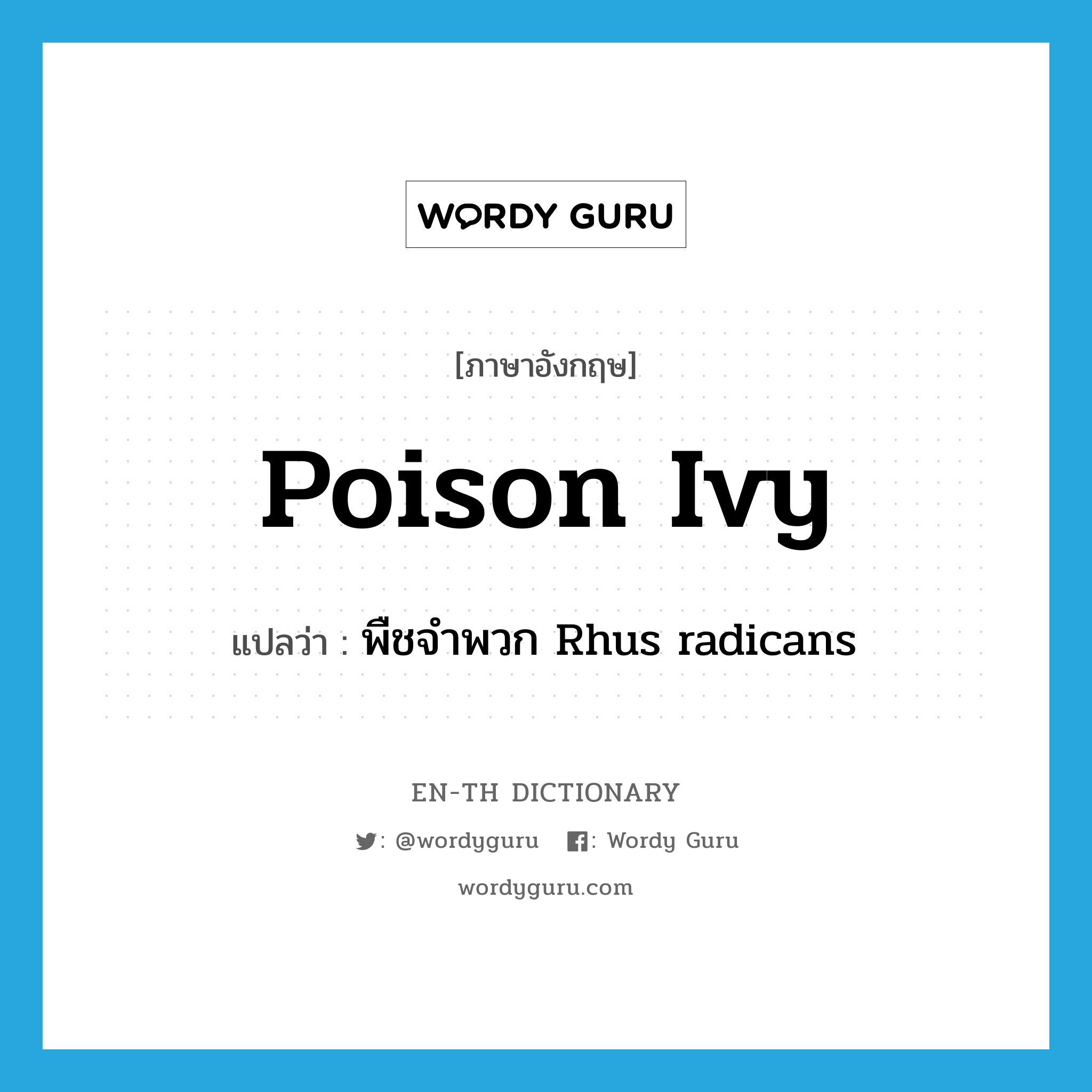 poison ivy แปลว่า?, คำศัพท์ภาษาอังกฤษ poison ivy แปลว่า พืชจำพวก Rhus radicans ประเภท N หมวด N