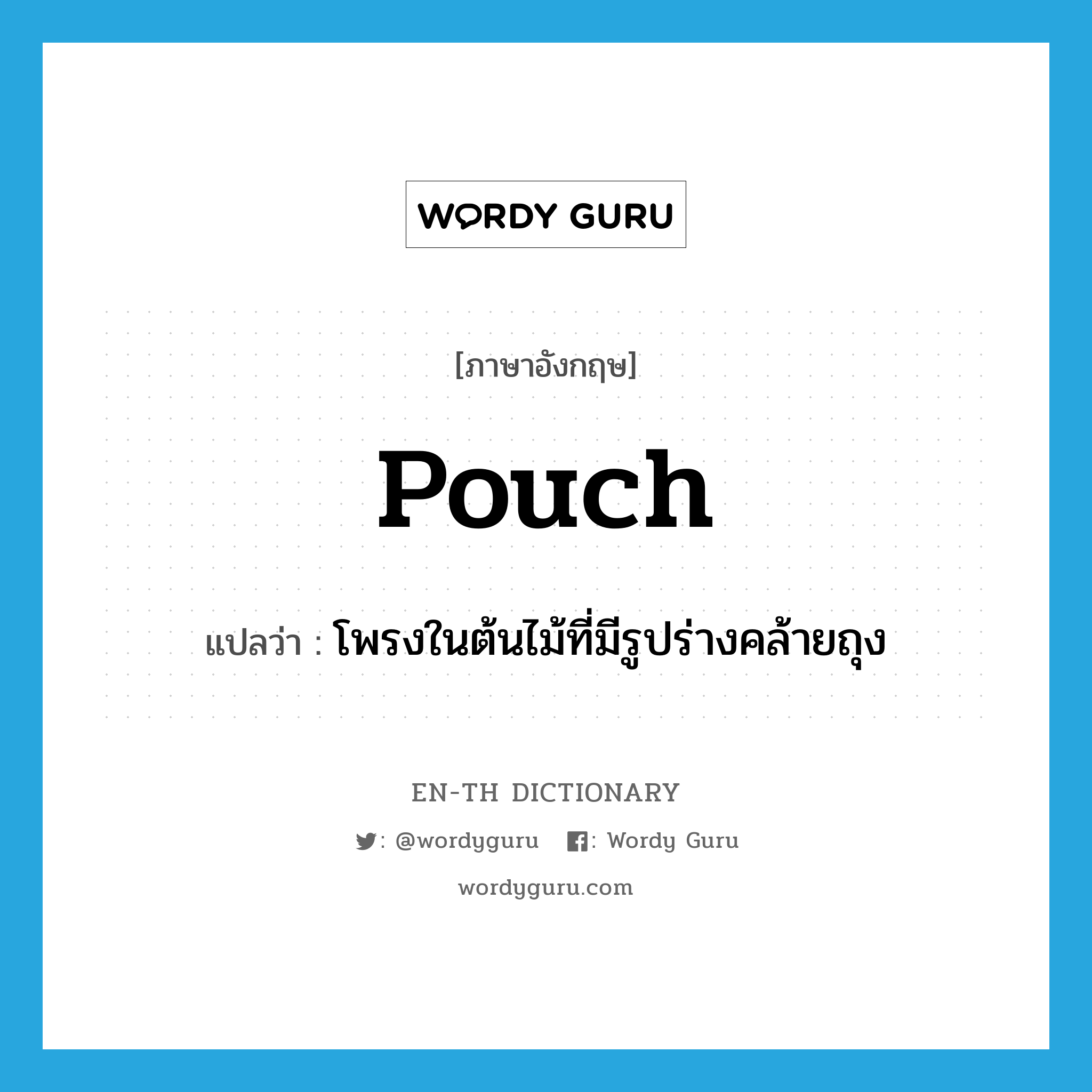 pouch แปลว่า?, คำศัพท์ภาษาอังกฤษ pouch แปลว่า โพรงในต้นไม้ที่มีรูปร่างคล้ายถุง ประเภท N หมวด N