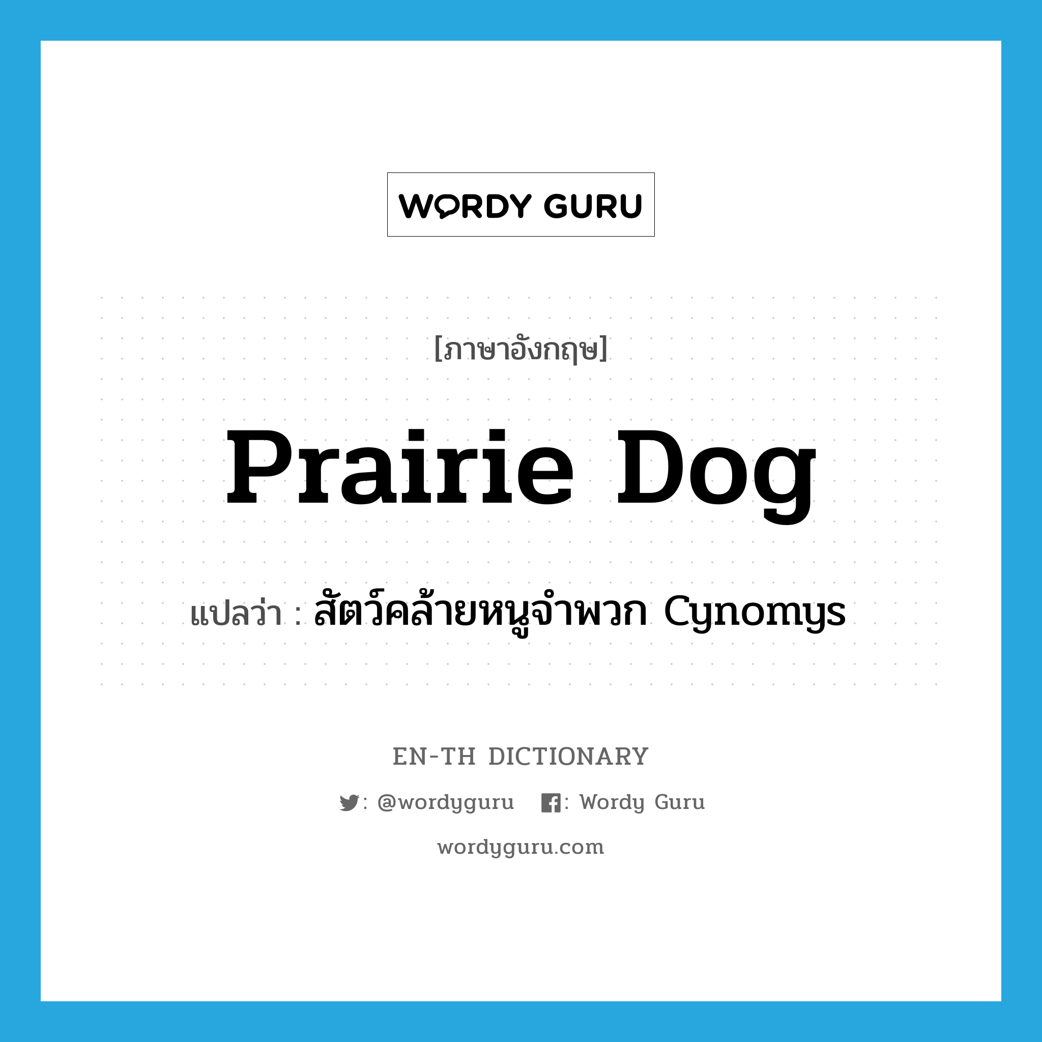 prairie dog แปลว่า?, คำศัพท์ภาษาอังกฤษ prairie dog แปลว่า สัตว์คล้ายหนูจำพวก Cynomys ประเภท N หมวด N